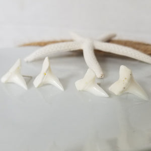 Real Shark Tooth Stud Earrings - Sterling Silver