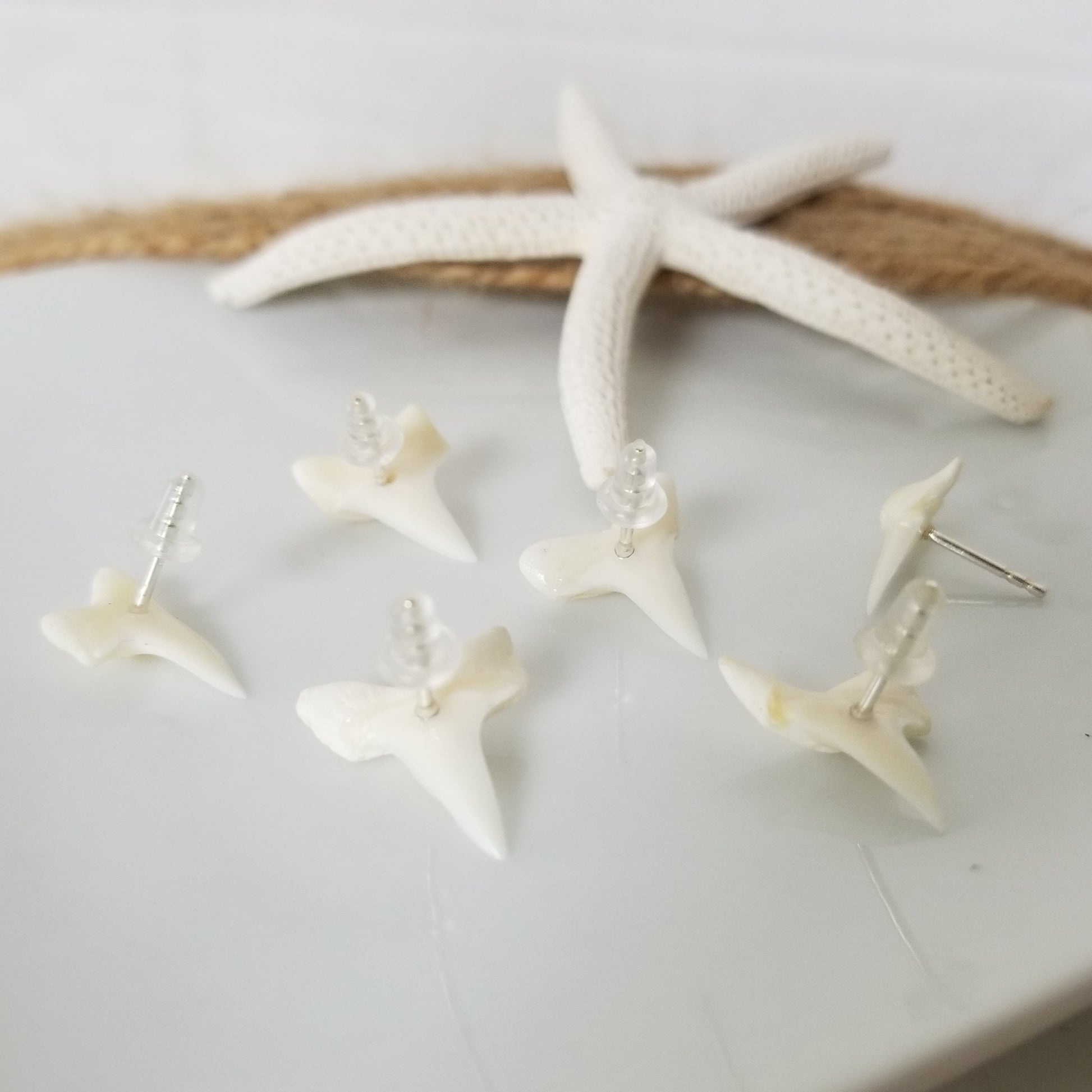 Real Shark Tooth Stud Earrings - Sterling Silver