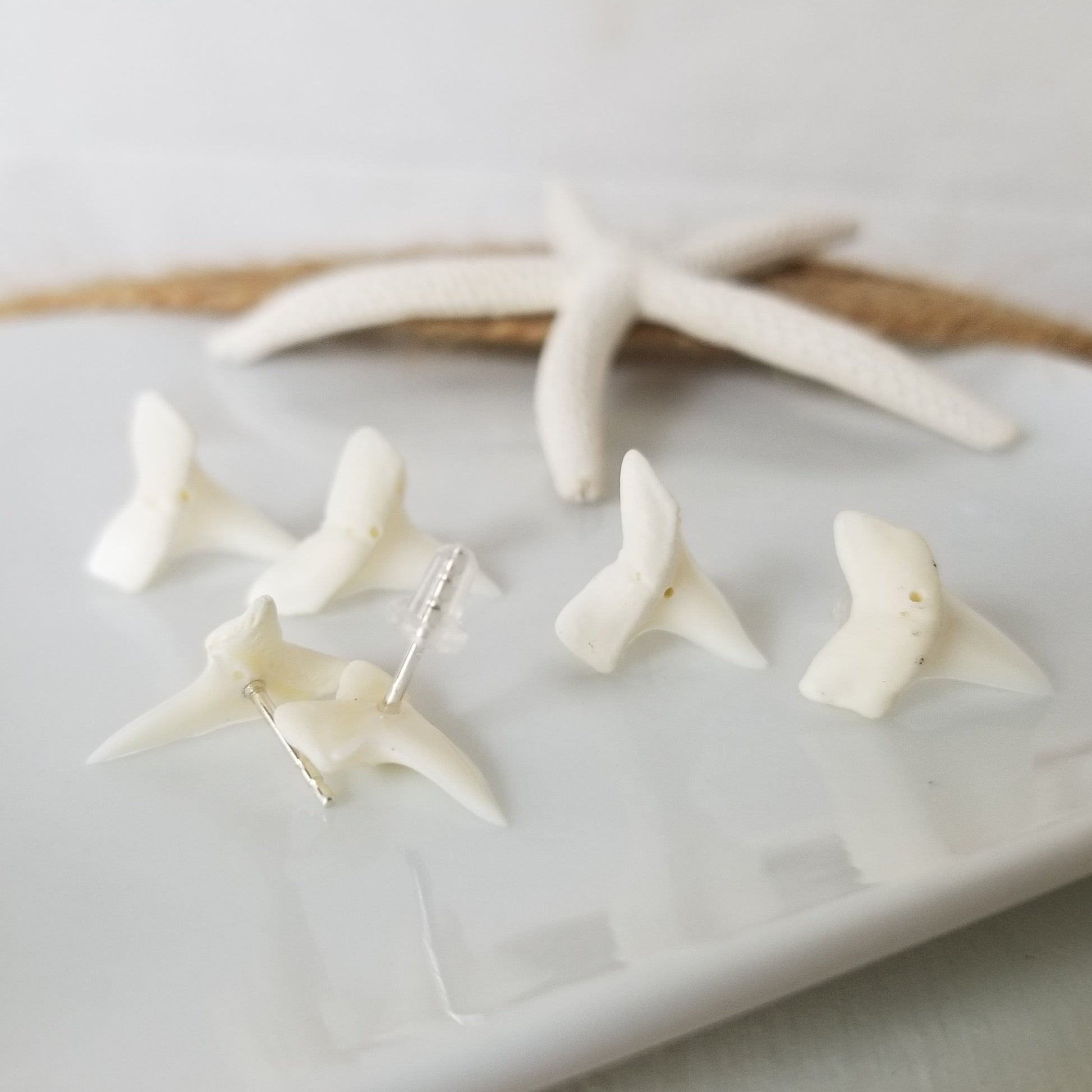 Real Shark Tooth Stud Earrings - Sterling Silver