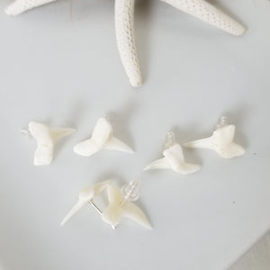Real Shark Tooth Stud Earrings - Sterling Silver