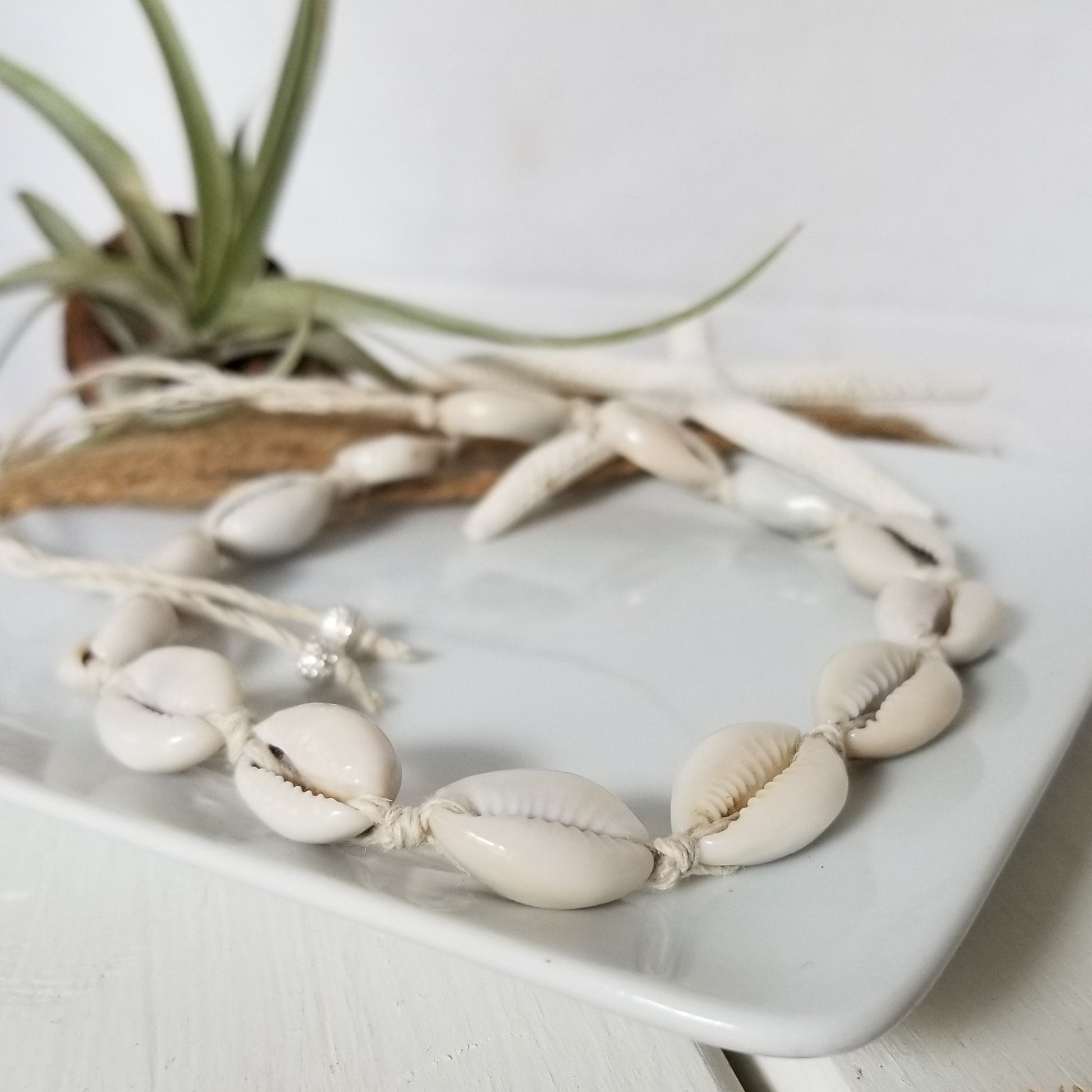 Puka Shell Jewelry - Necklace - Bracelet or Anklet