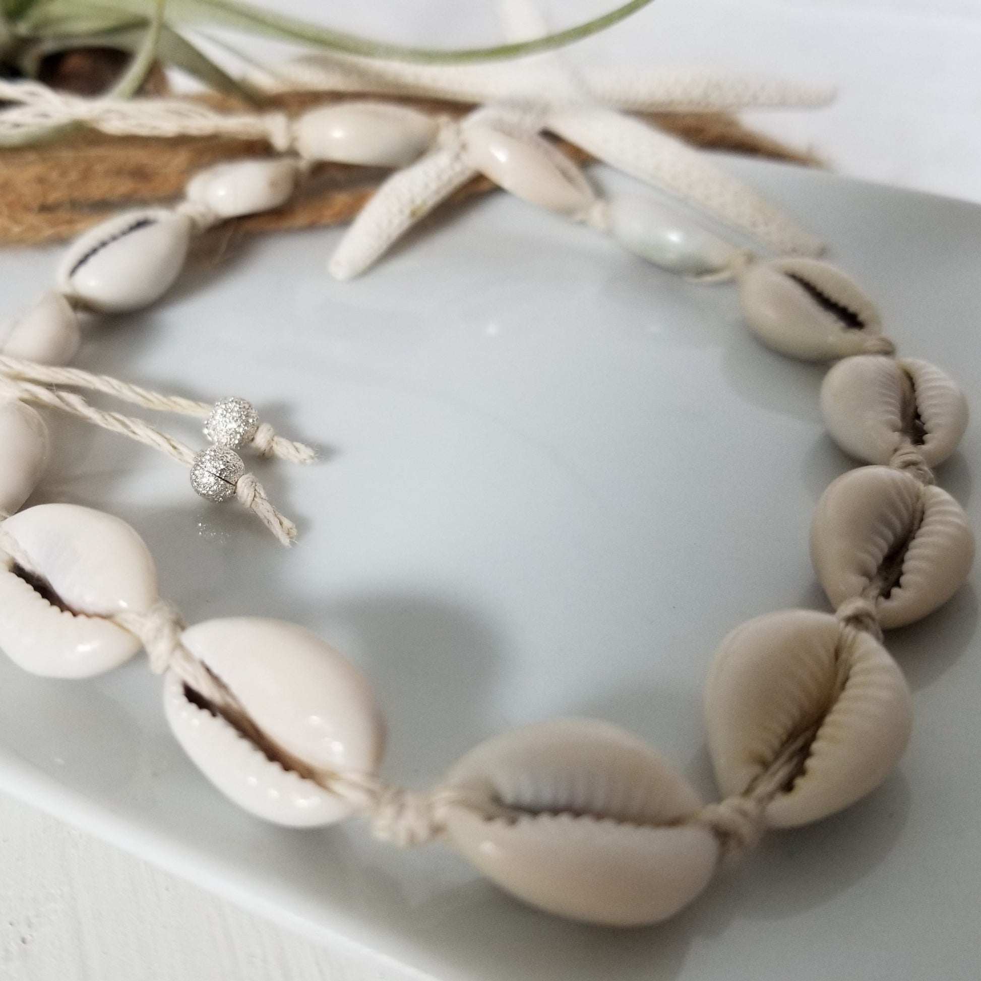 Puka Shell Jewelry - Necklace - Bracelet or Anklet