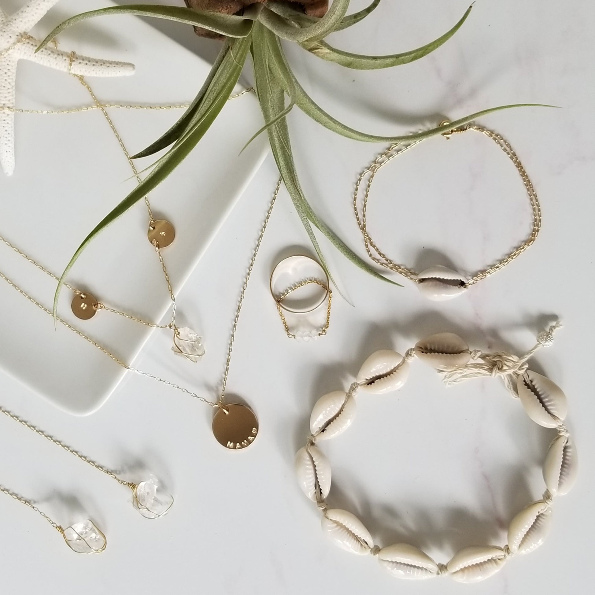 Conch Shell Chain Bracelet - Sterling, Gold, or Rose Gold