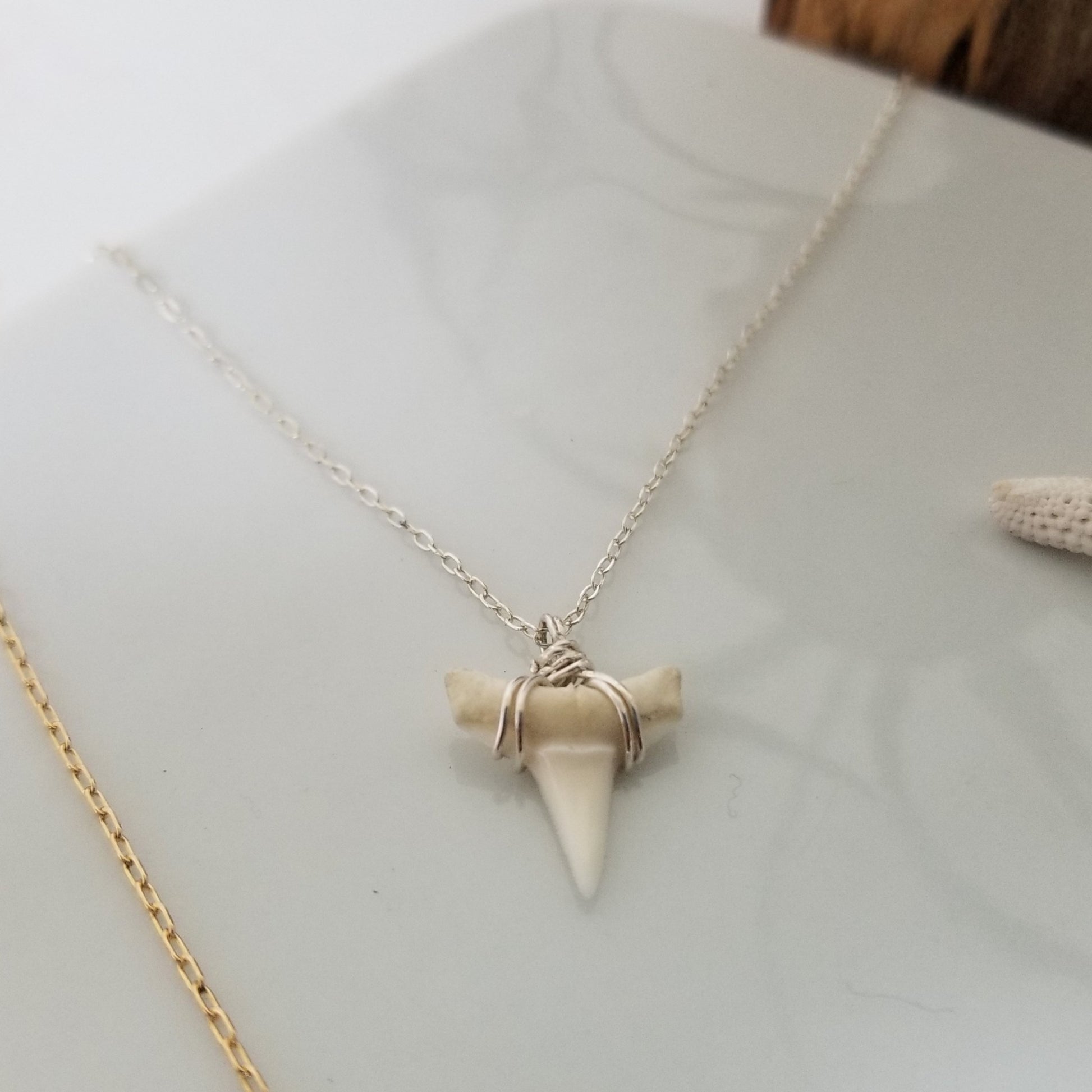 The "Annesa" - Real Shark Tooth Layering Necklace - Sterling or Gold