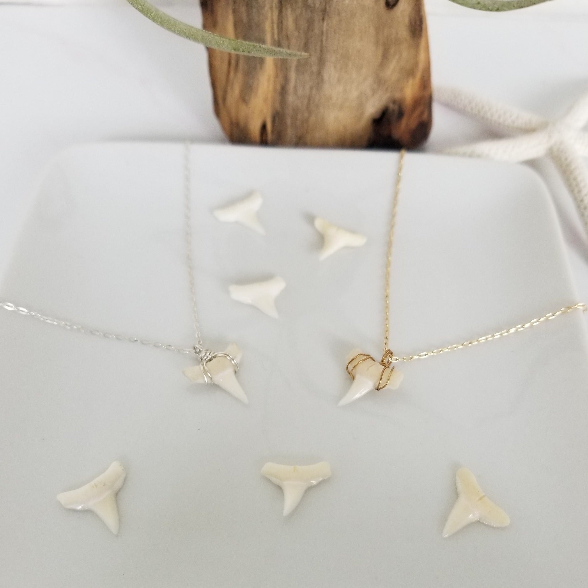 The "Annesa" - Real Shark Tooth Layering Necklace - Sterling or Gold