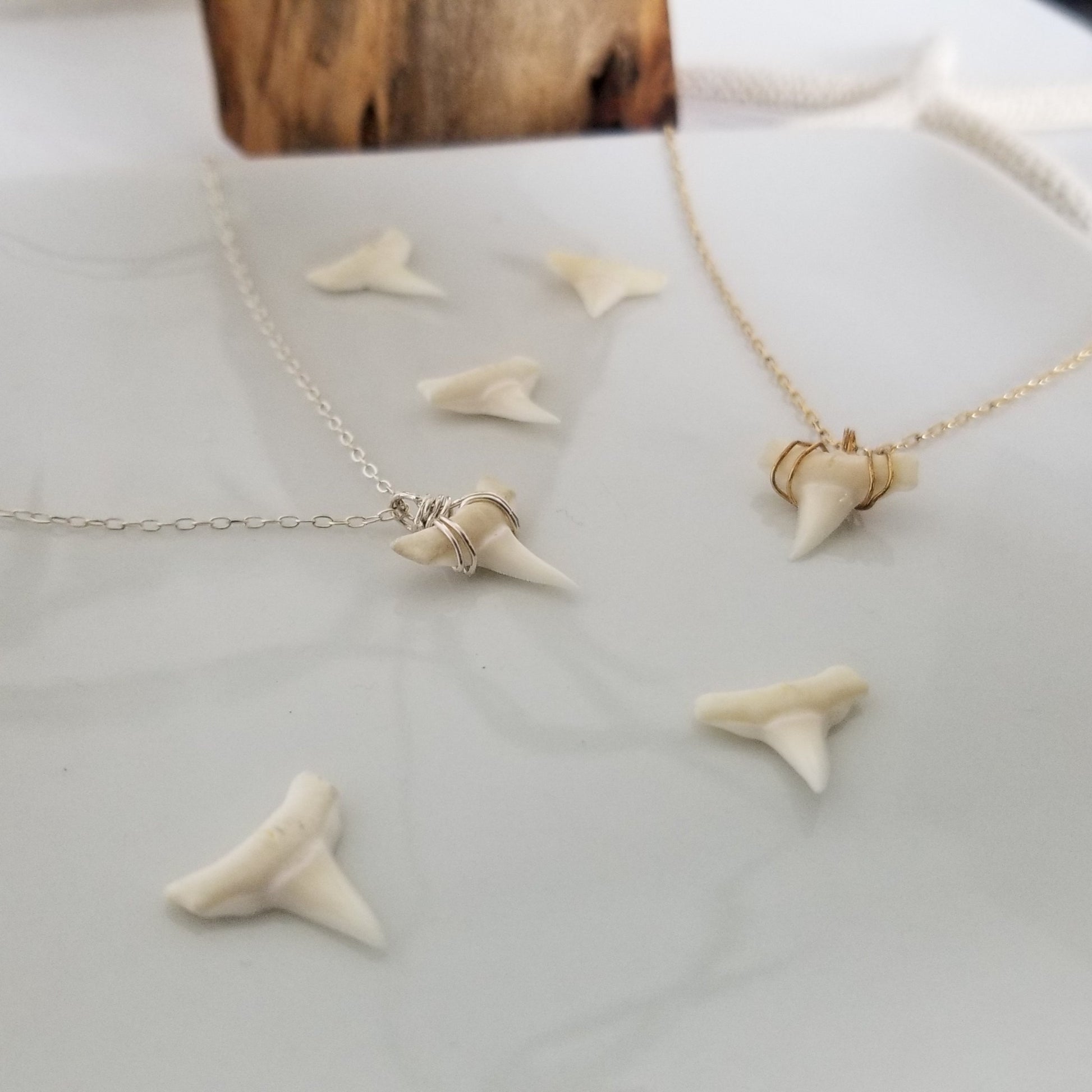 The "Annesa" - Real Shark Tooth Layering Necklace - Sterling or Gold