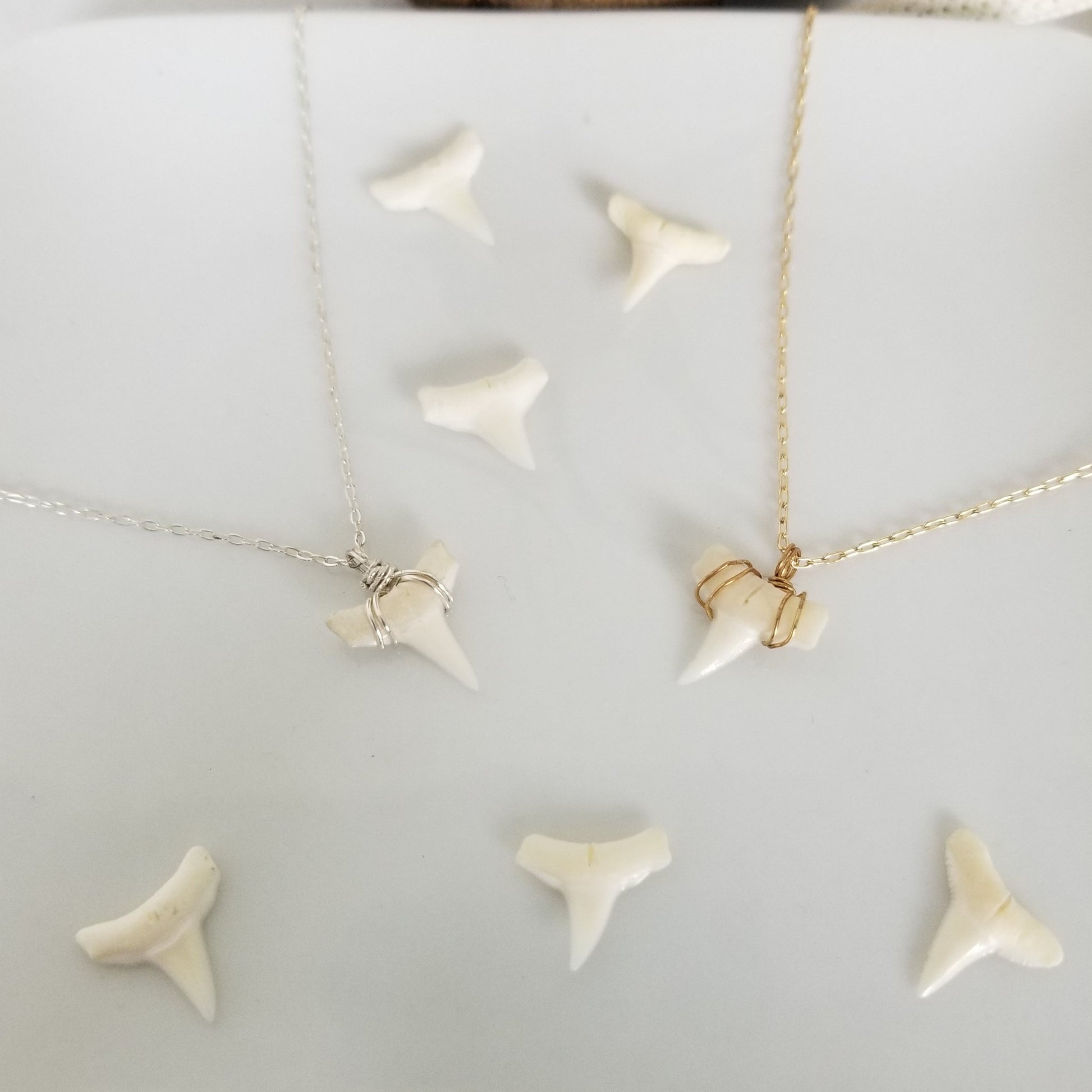 The "Annesa" - Real Shark Tooth Layering Necklace - Sterling or Gold