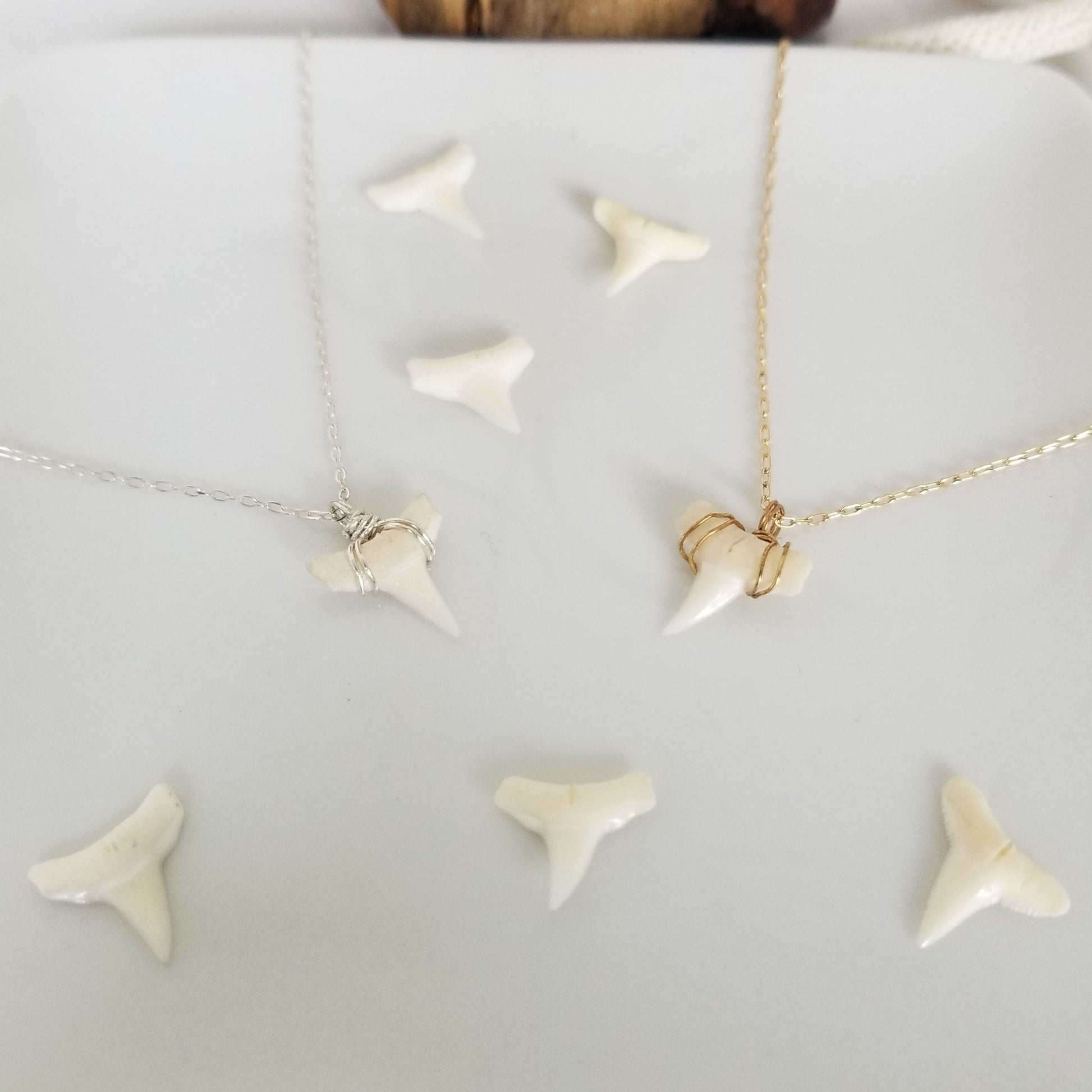 The "Annesa" - Real Shark Tooth Layering Necklace - Sterling or Gold