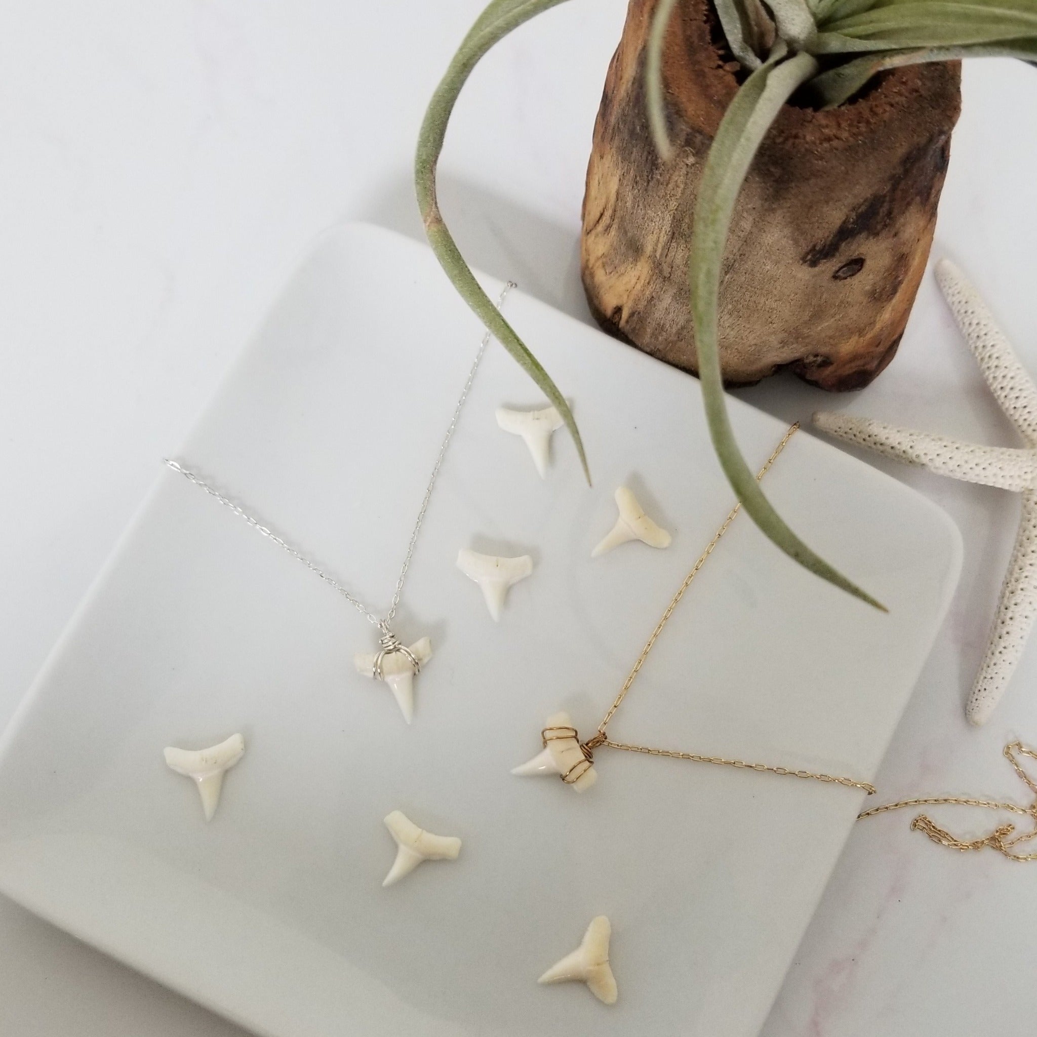 The "Annesa" - Real Shark Tooth Layering Necklace - Sterling or Gold