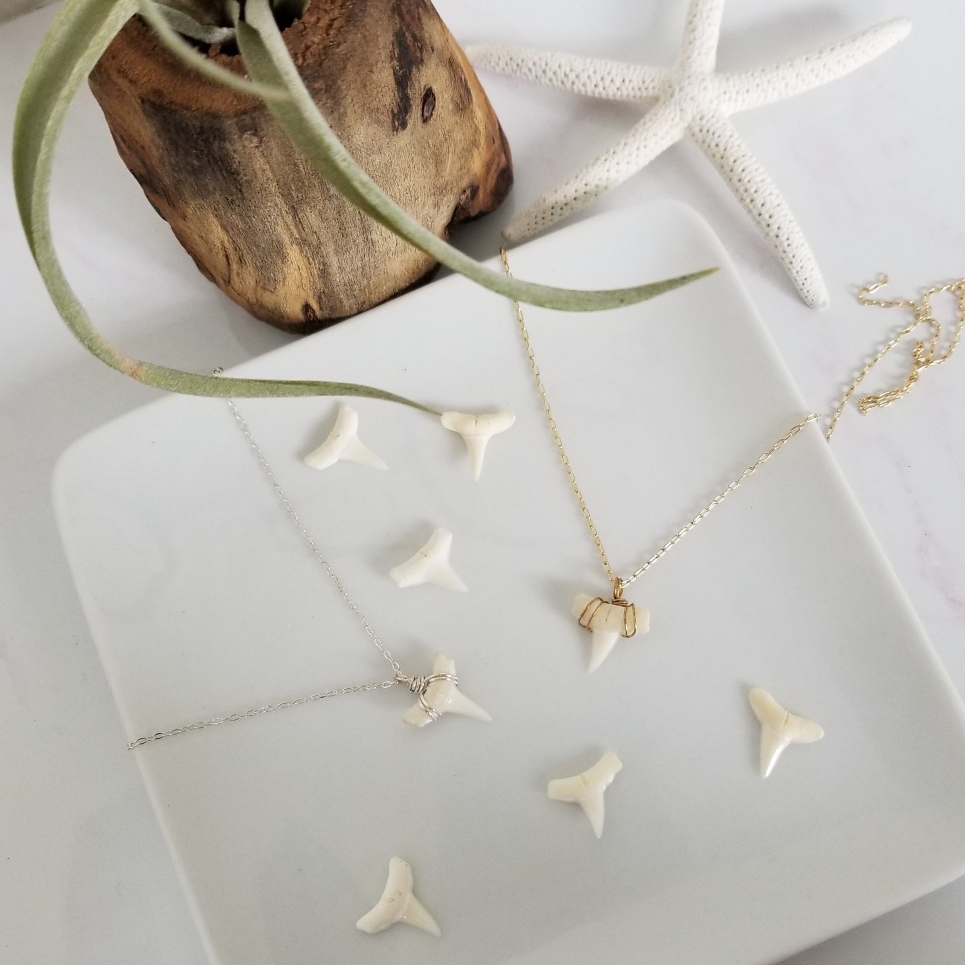 The "Annesa" - Real Shark Tooth Layering Necklace - Sterling or Gold