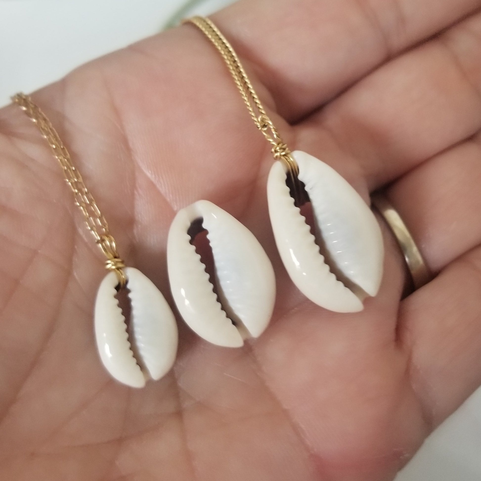 Natural Cowrie Shell Necklace - Small, Med, or Large - Sterling or Gold