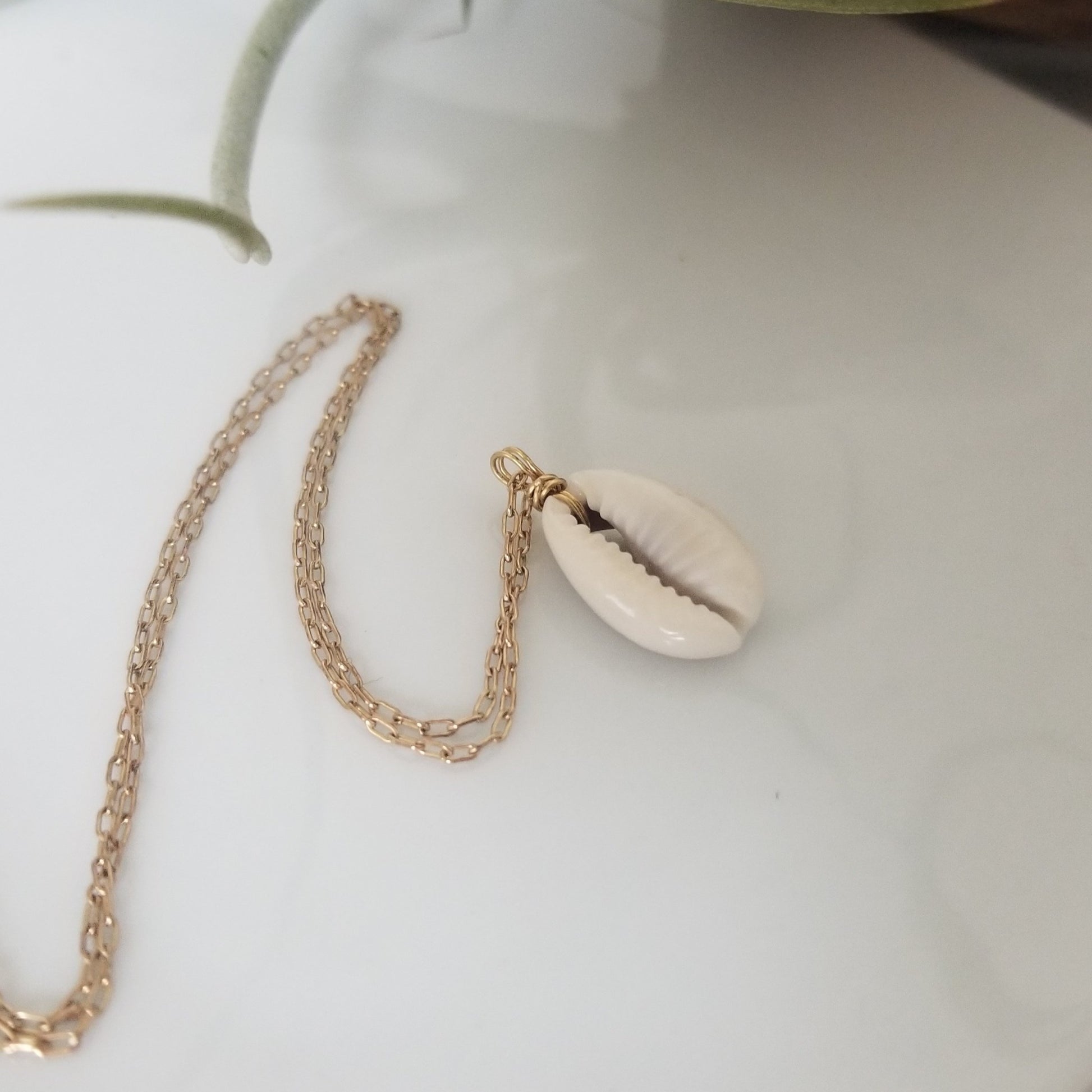 Natural Cowrie Shell Necklace - Small, Med, or Large - Sterling or Gold