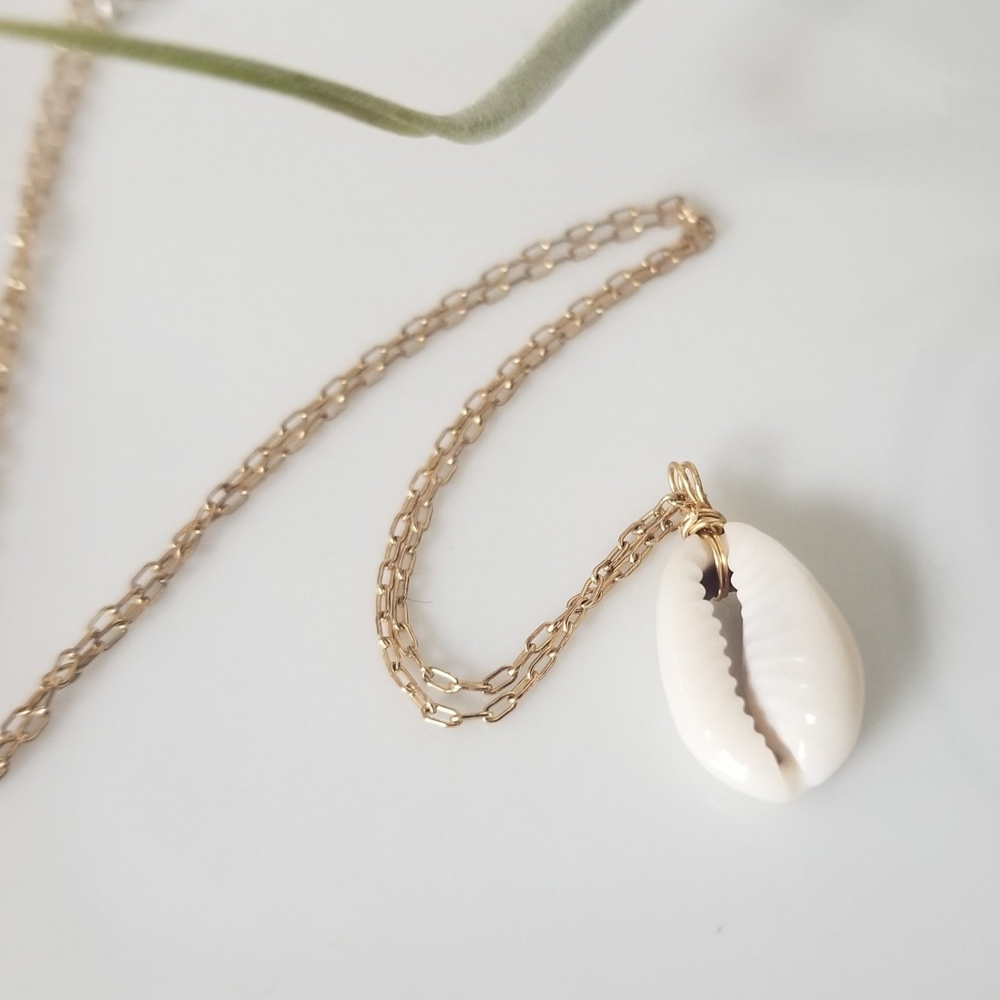 Natural Cowrie Shell Necklace - Small, Med, or Large - Sterling or Gold