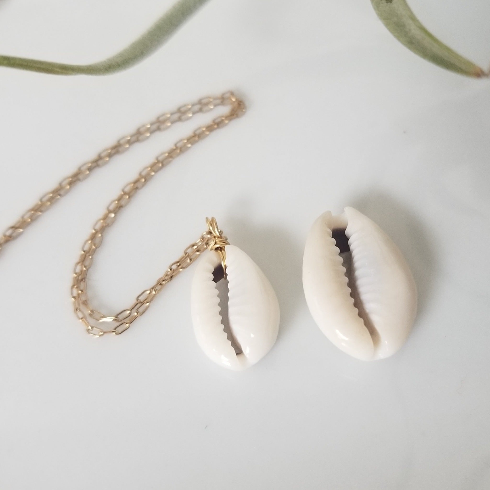 Natural Cowrie Shell Necklace - Small, Med, or Large - Sterling or Gold