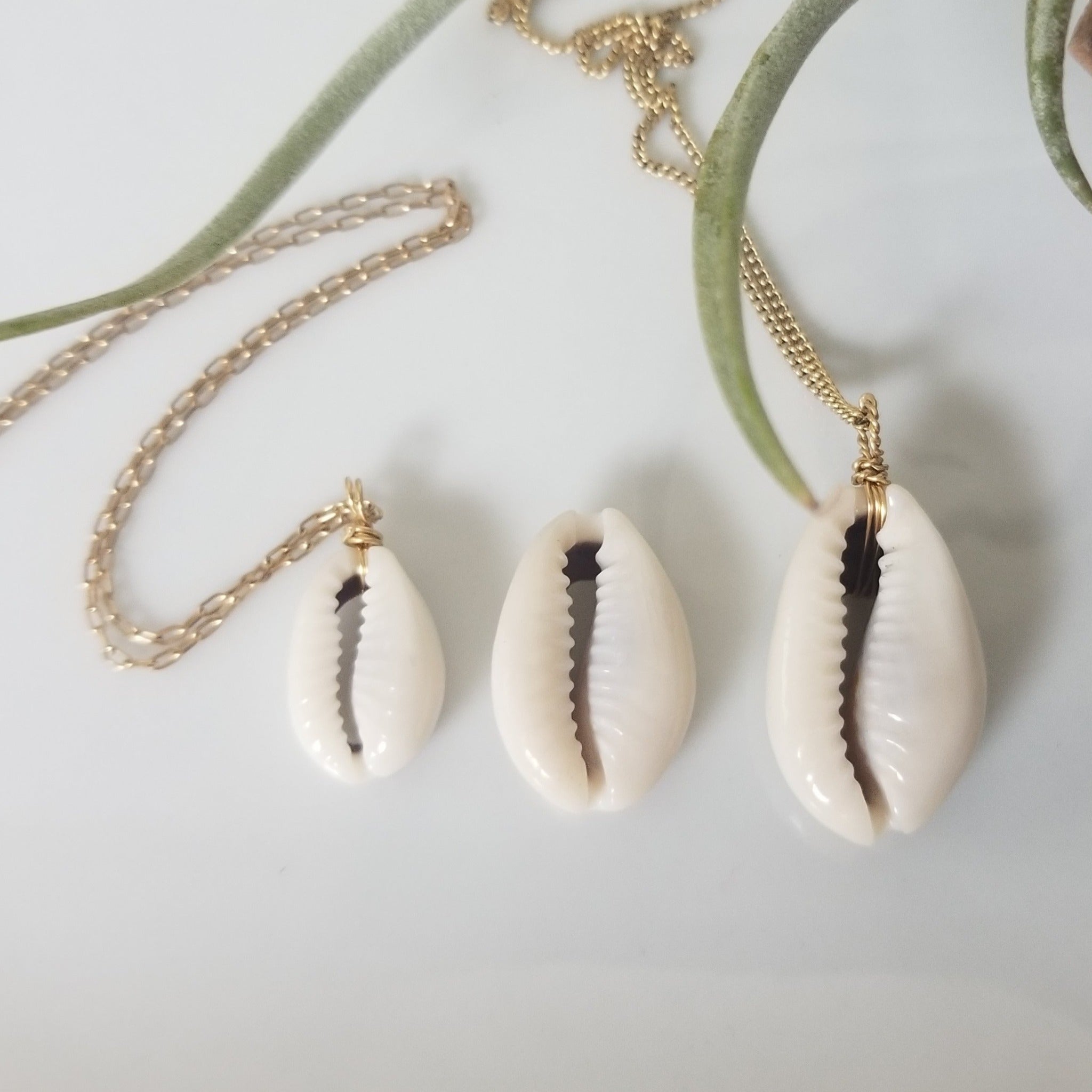 Natural Cowrie Shell Necklace - Small, Med, or Large - Sterling or Gold