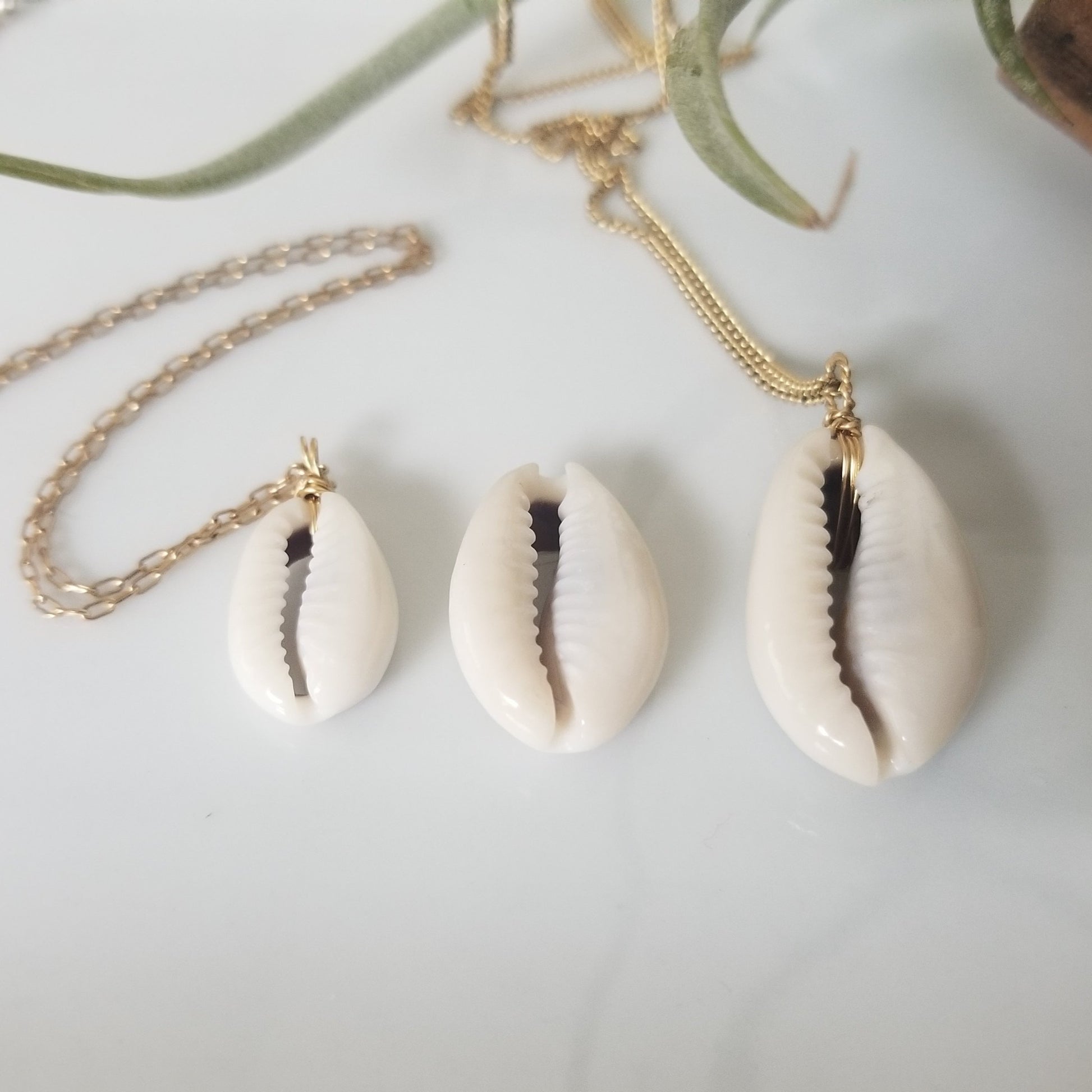 Natural Cowrie Shell Necklace - Small, Med, or Large - Sterling or Gold