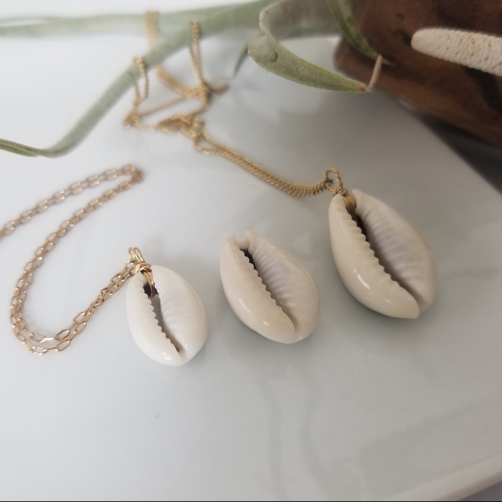 Natural Cowrie Shell Necklace - Small, Med, or Large - Sterling or Gold