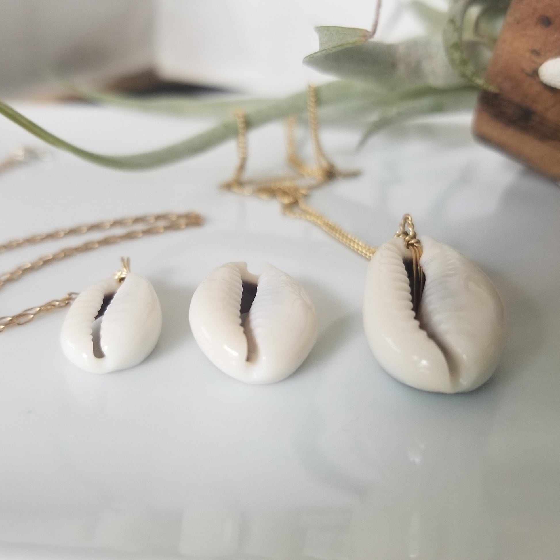 Natural Cowrie Shell Necklace - Small, Med, or Large - Sterling or Gold