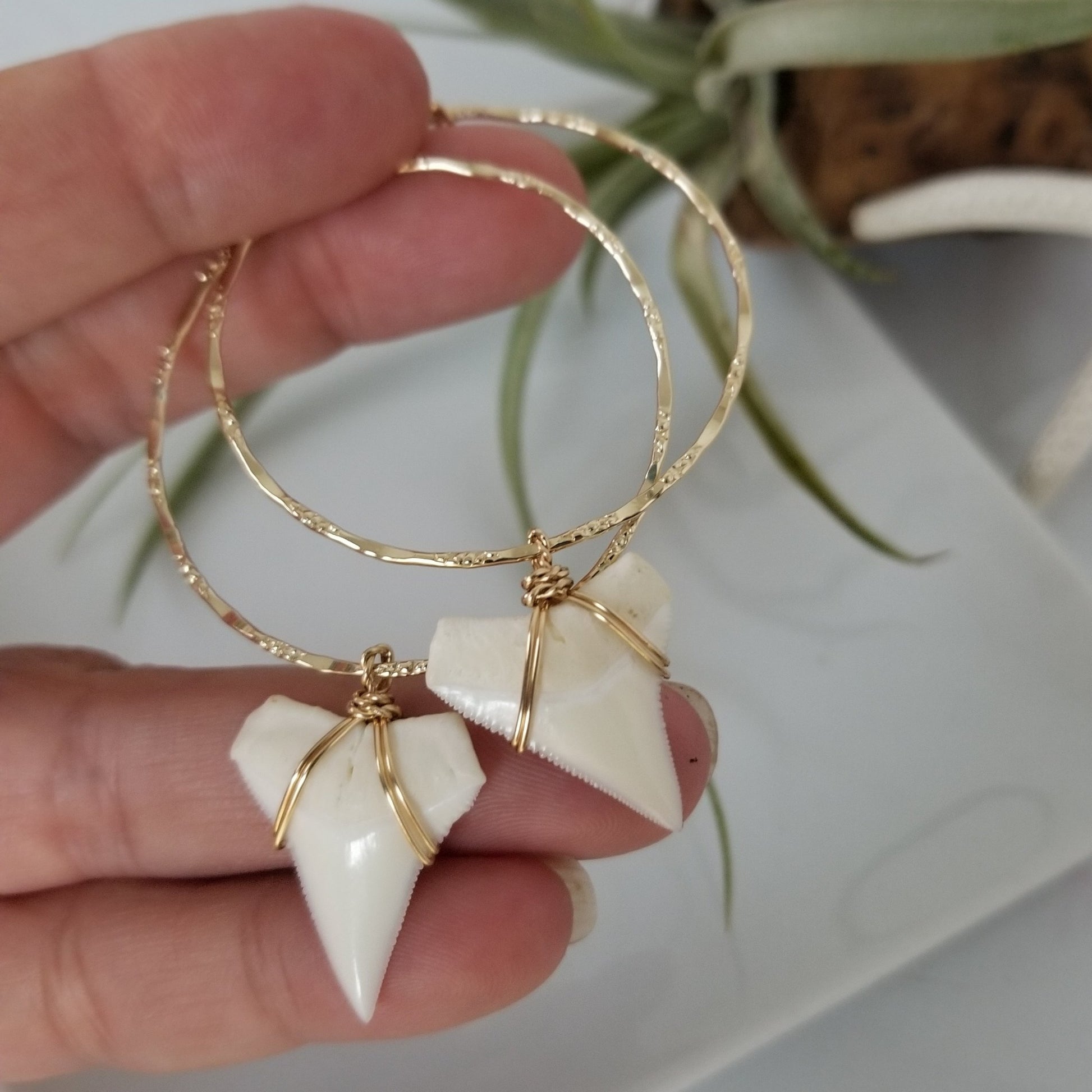 Drop Hoop Shark Tooth Charm Earrings - Sterling or Gold