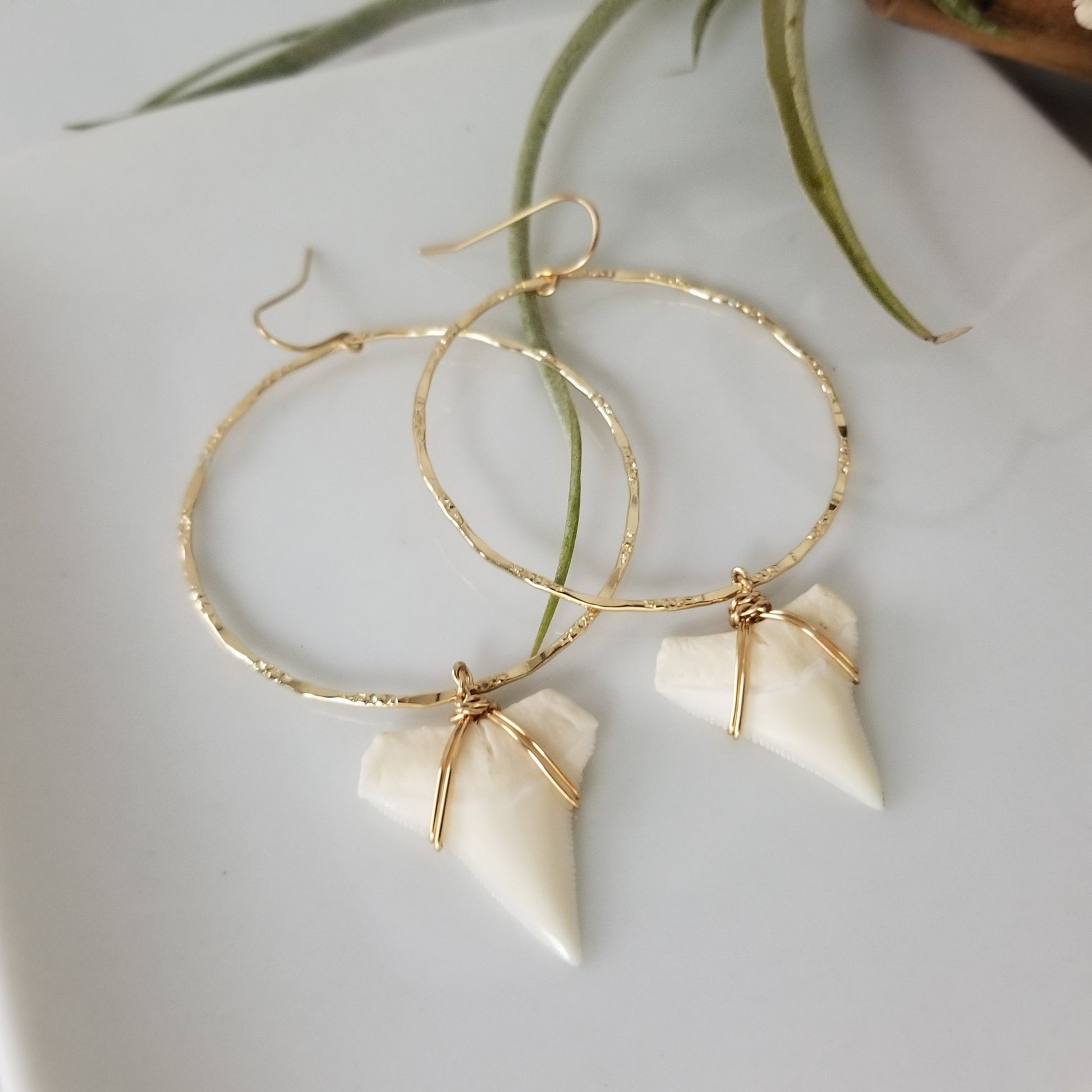 Drop Hoop Shark Tooth Charm Earrings - Sterling or Gold