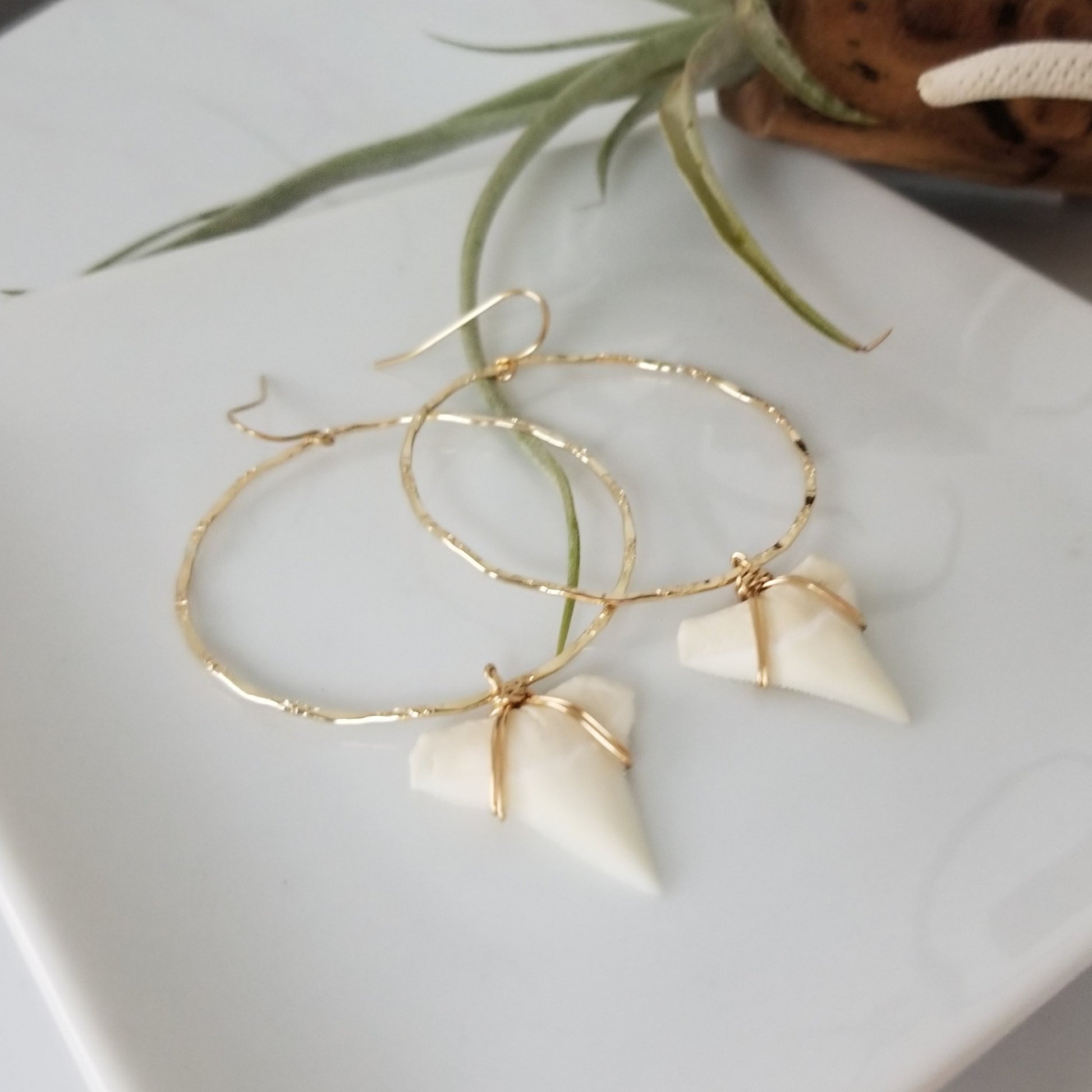 Drop Hoop Shark Tooth Charm Earrings - Sterling or Gold