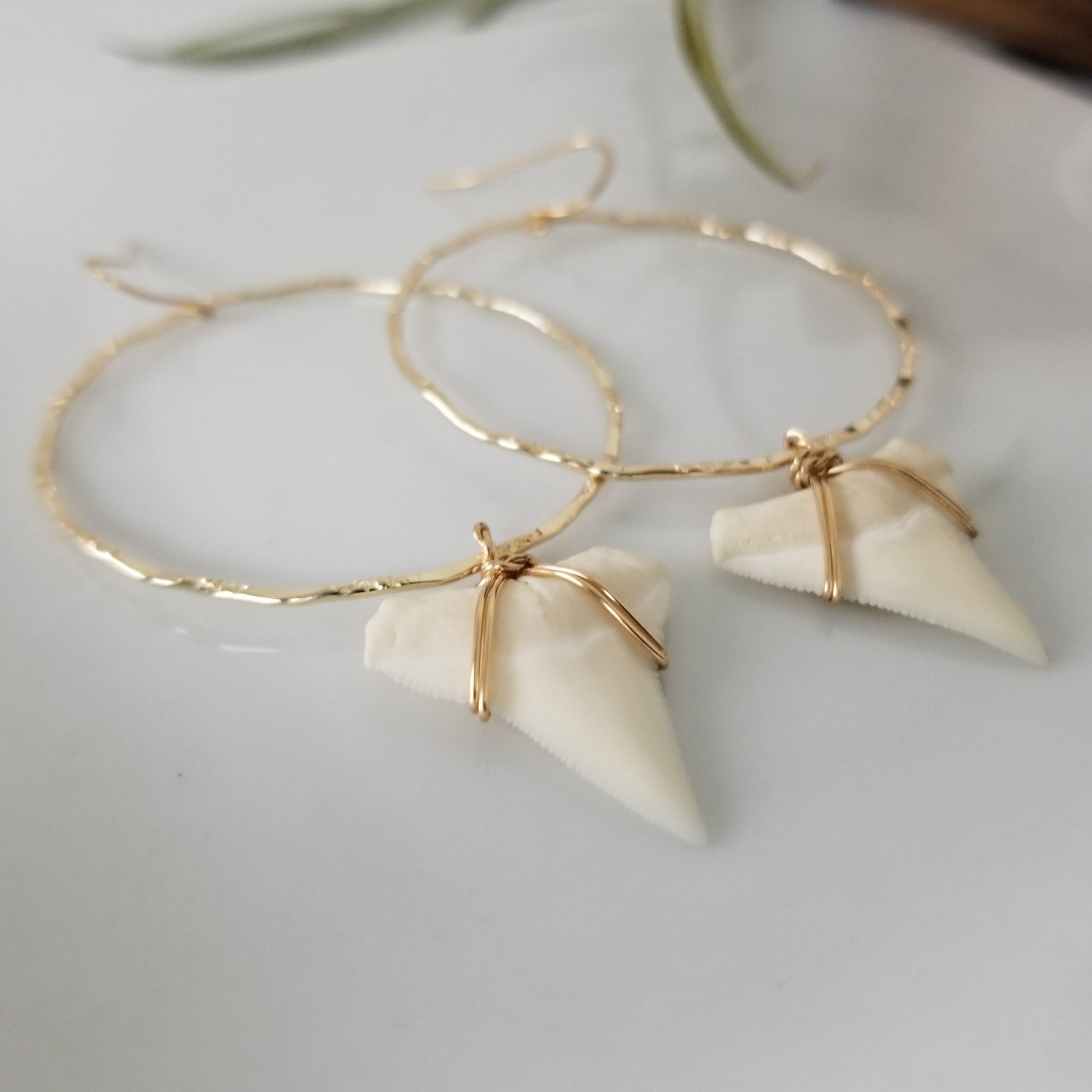 Drop Hoop Shark Tooth Charm Earrings - Sterling or Gold
