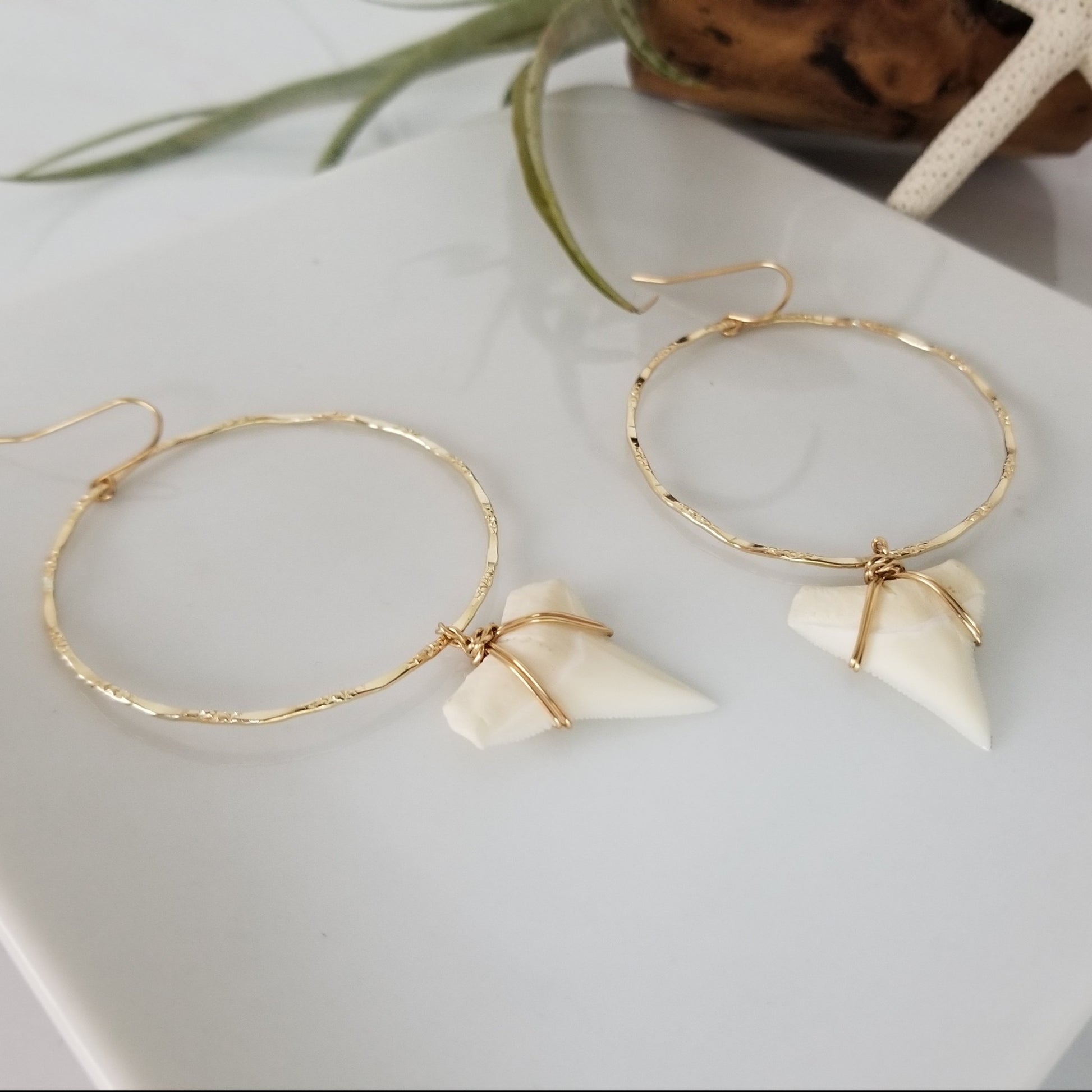 Drop Hoop Shark Tooth Charm Earrings - Sterling or Gold