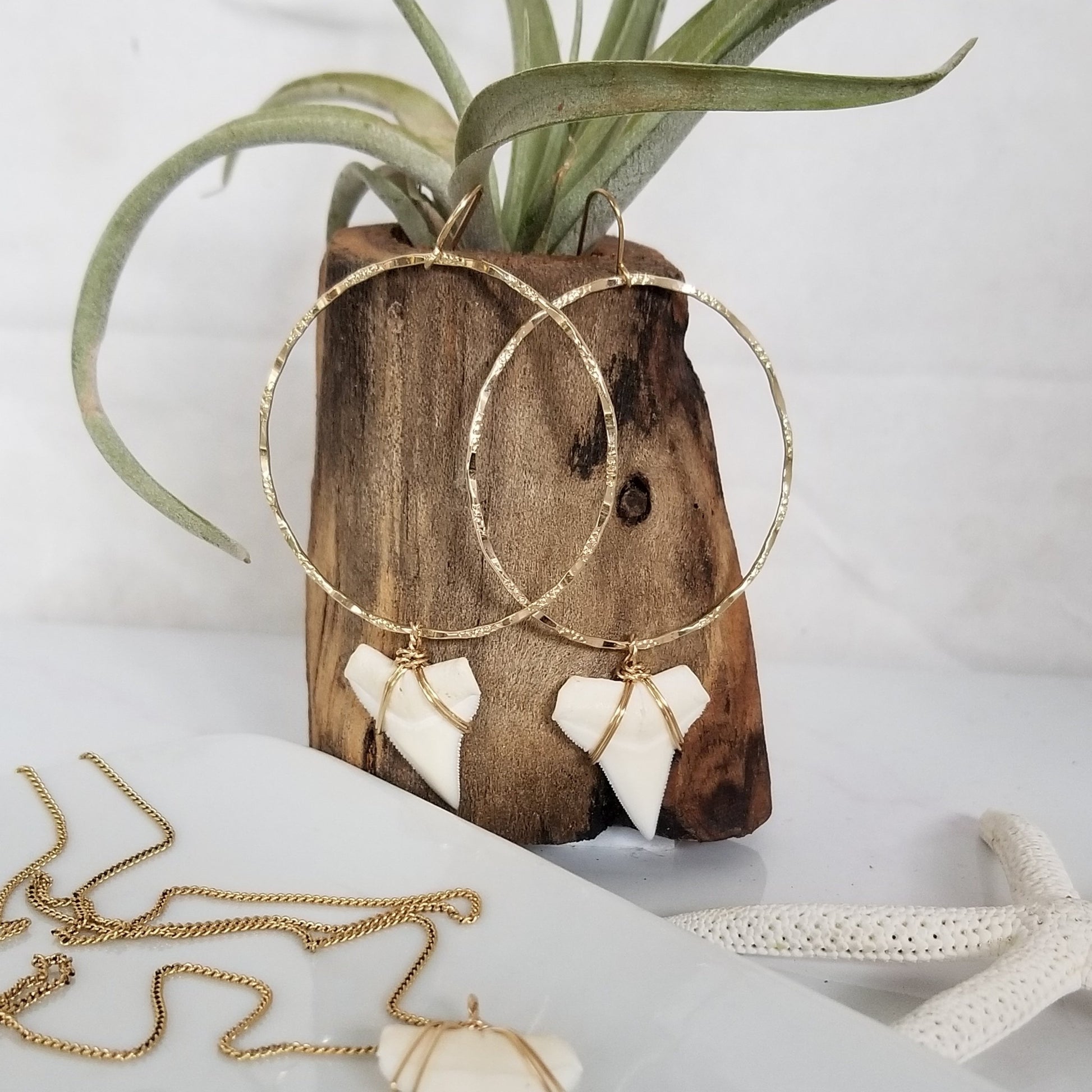Drop Hoop Shark Tooth Charm Earrings - Sterling or Gold