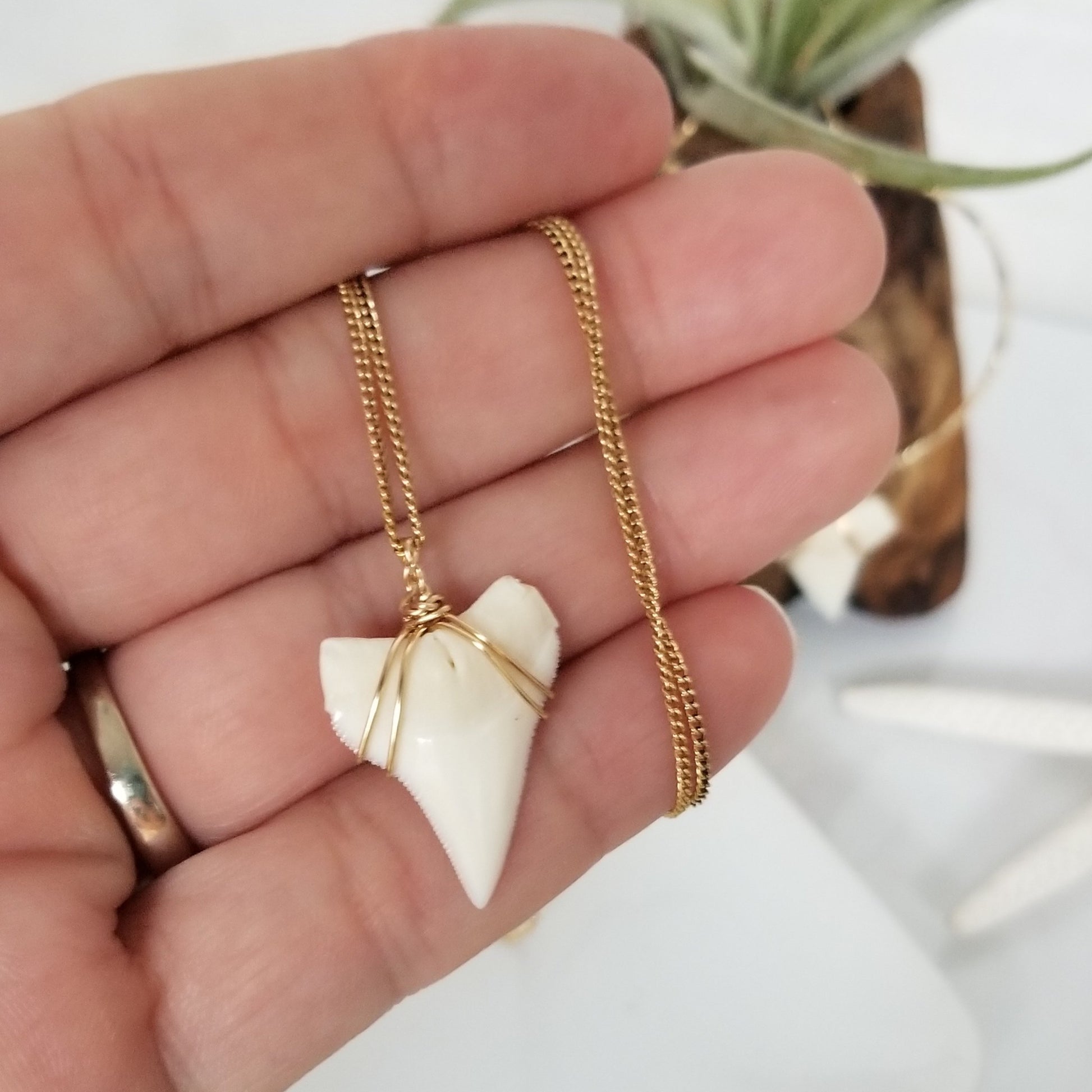 The "Annesa" - Real Shark Tooth Layering Necklace - Sterling or Gold