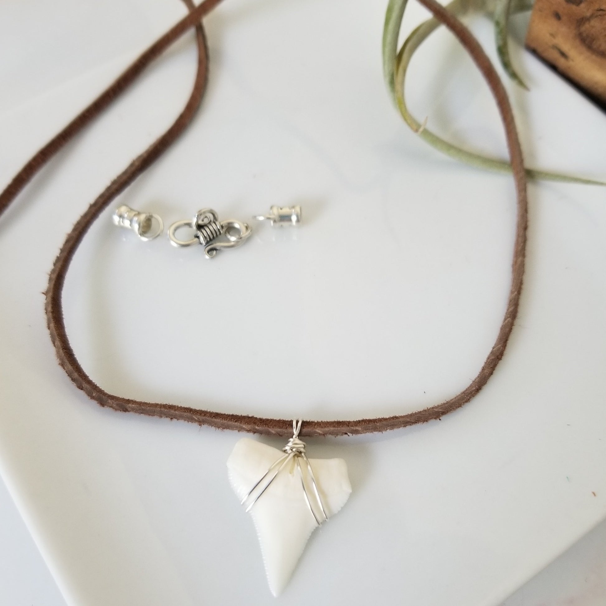 Men's Real Shark Tooth Leather or Sterling Necklace