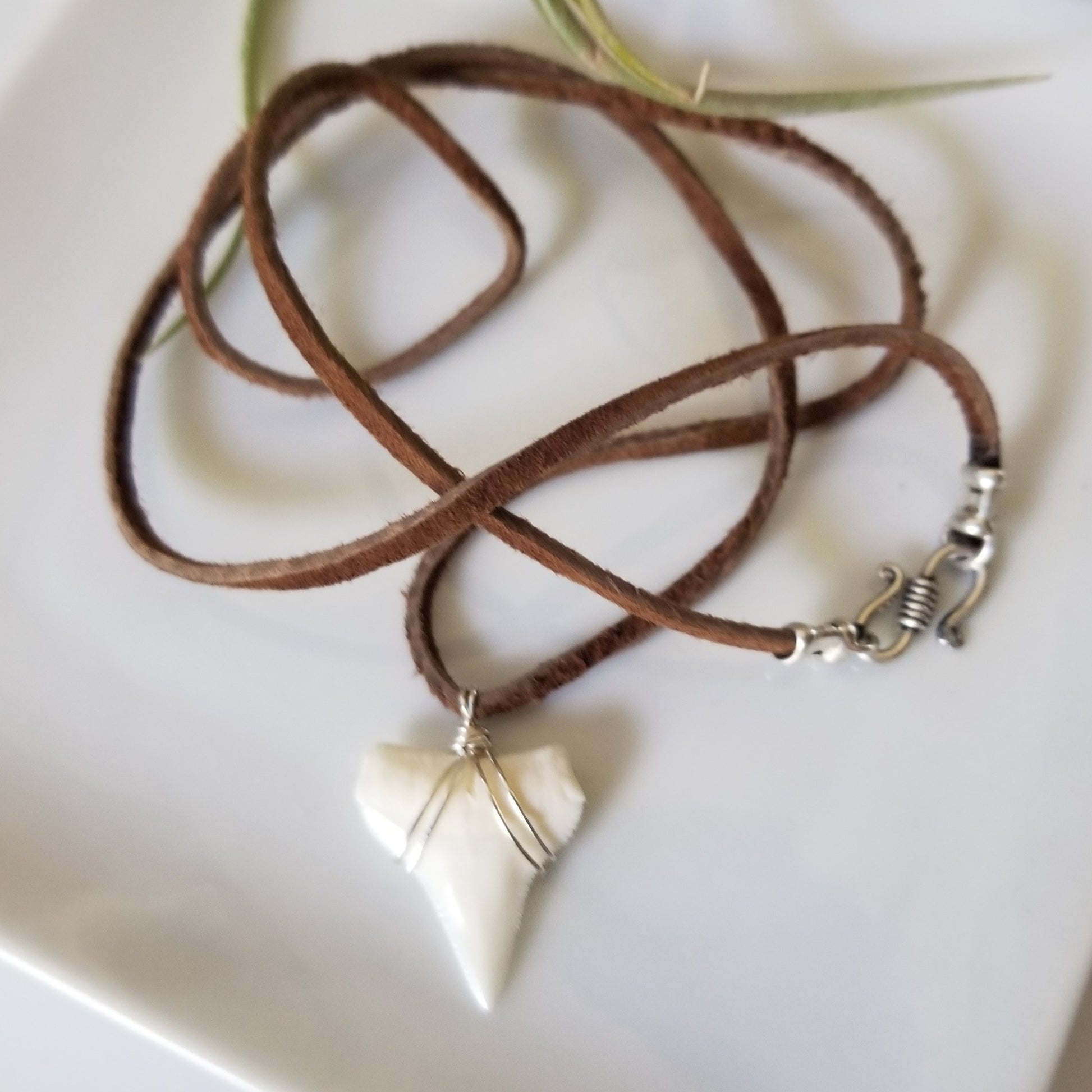 Men's Real Shark Tooth Leather or Sterling Necklace