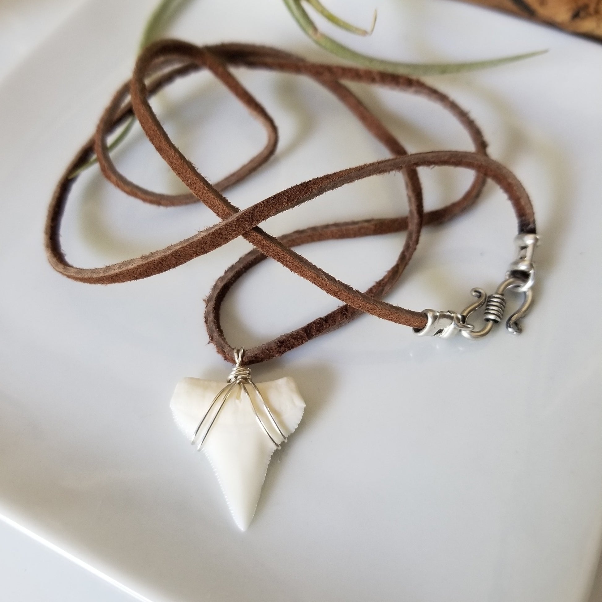 Men's Real Shark Tooth Leather or Sterling Necklace
