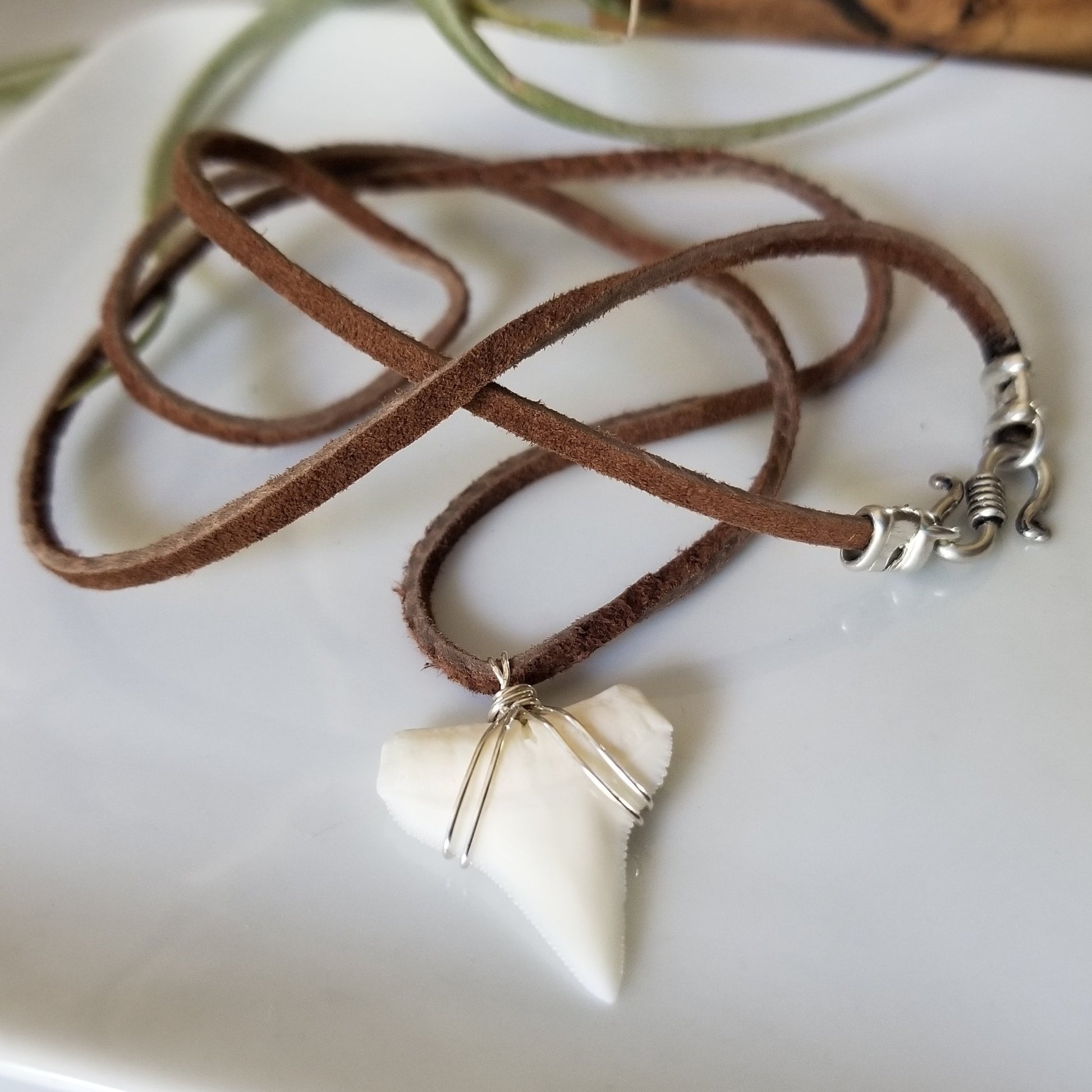 Men's Real Shark Tooth Leather or Sterling Necklace