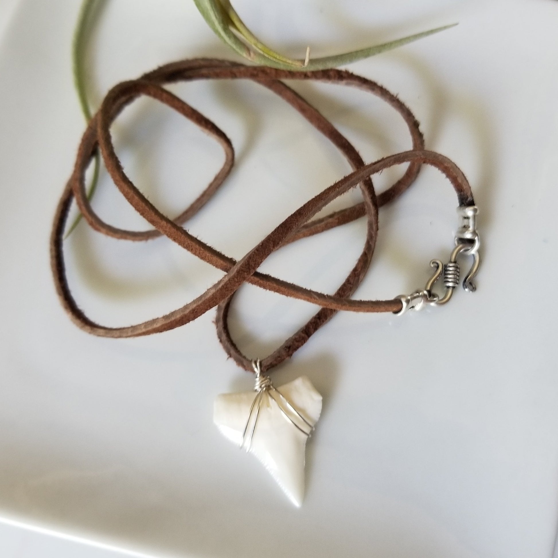 Men's Real Shark Tooth Leather or Sterling Necklace