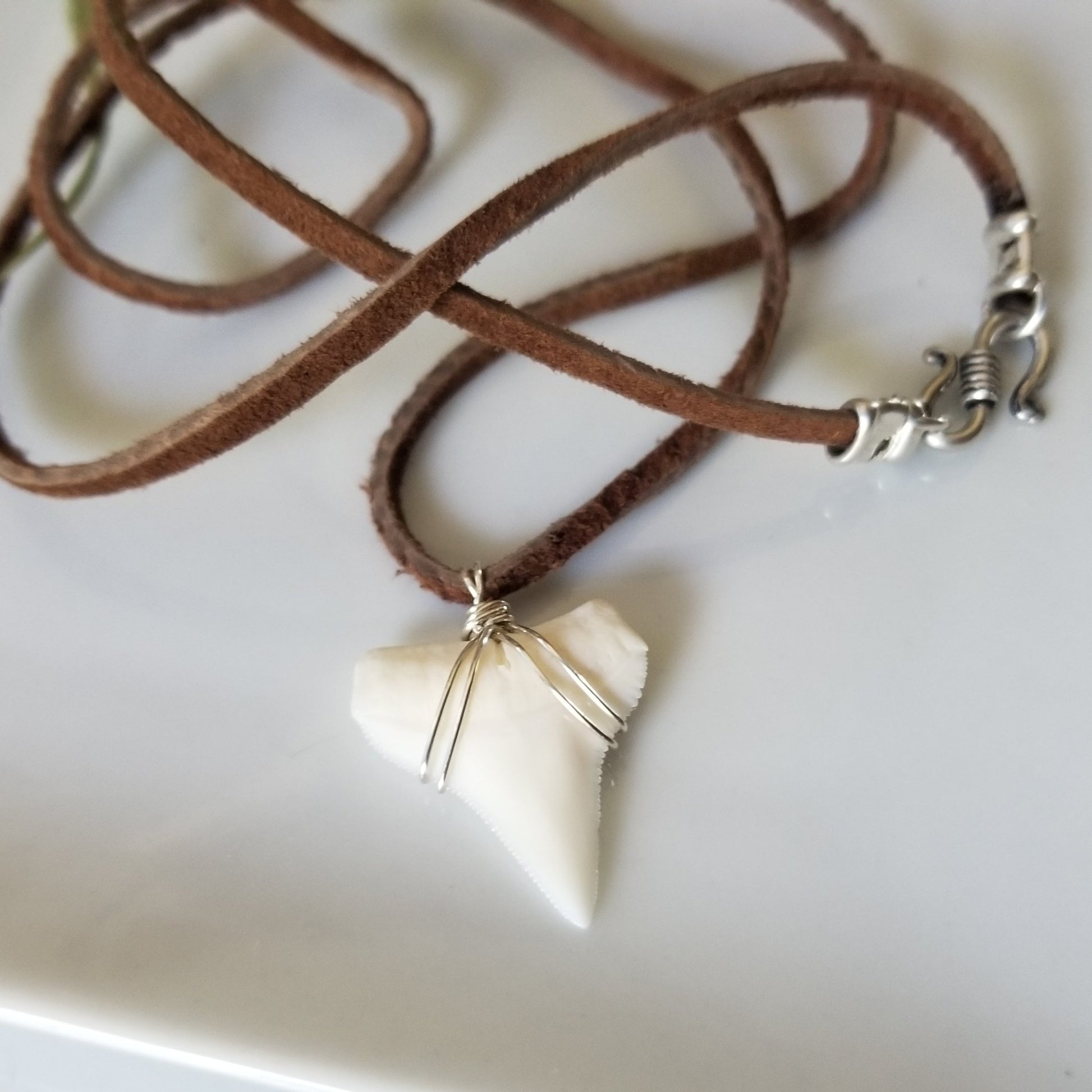 Men's Real Shark Tooth Leather or Sterling Necklace