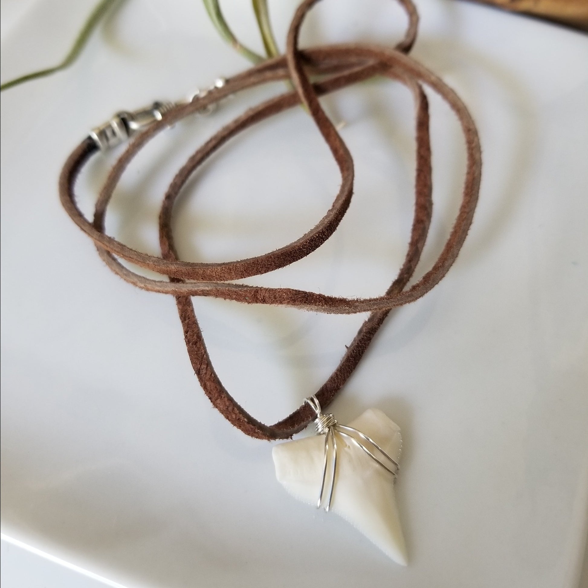 Men's Real Shark Tooth Leather or Sterling Necklace
