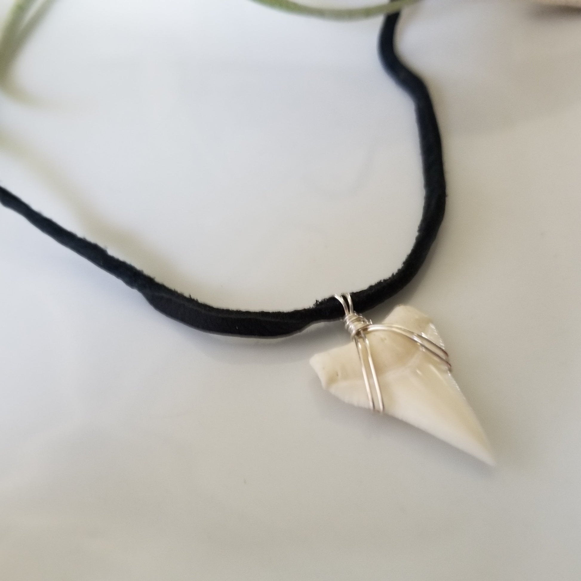Men's Real Shark Tooth Leather or Sterling Necklace