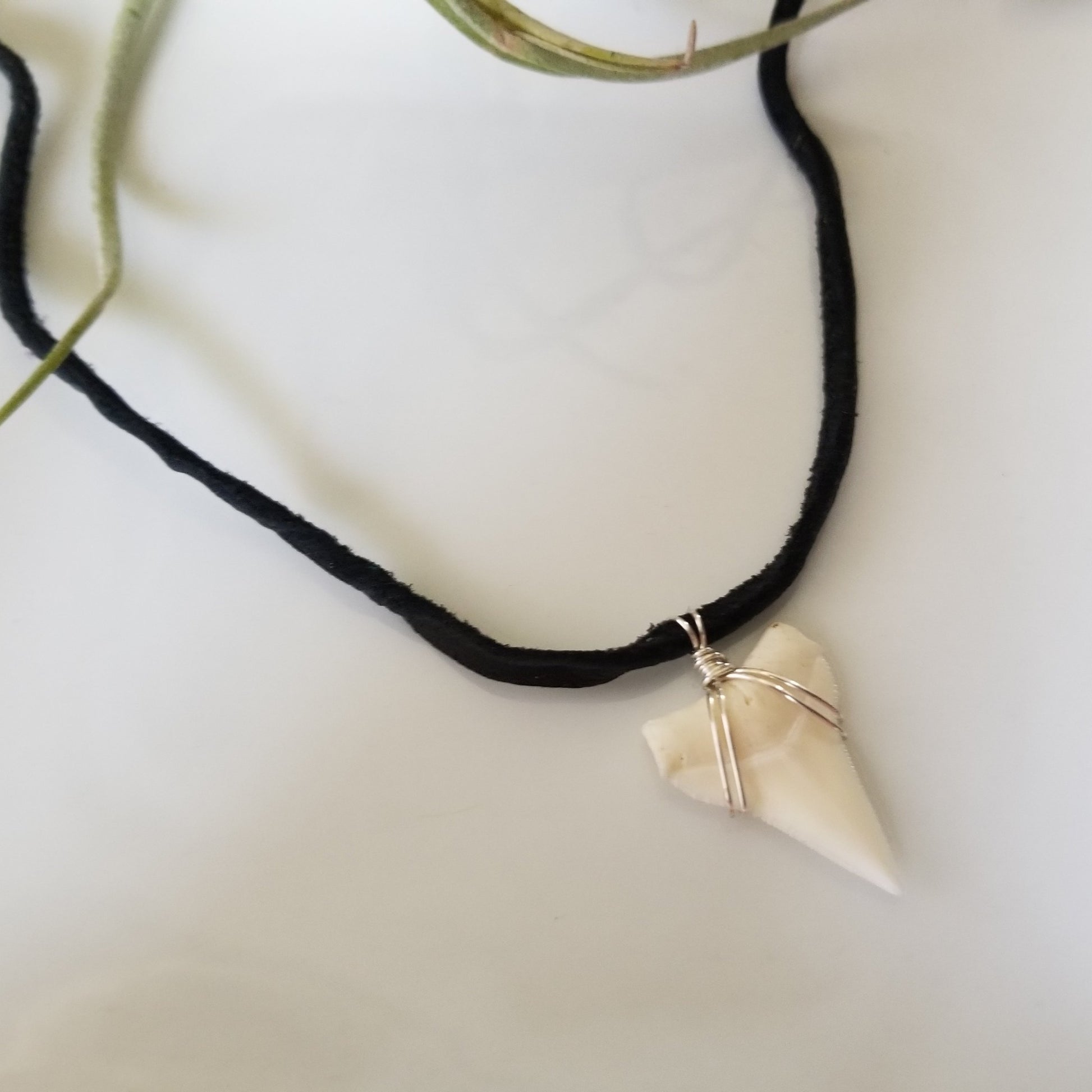 Men's Real Shark Tooth Leather or Sterling Necklace