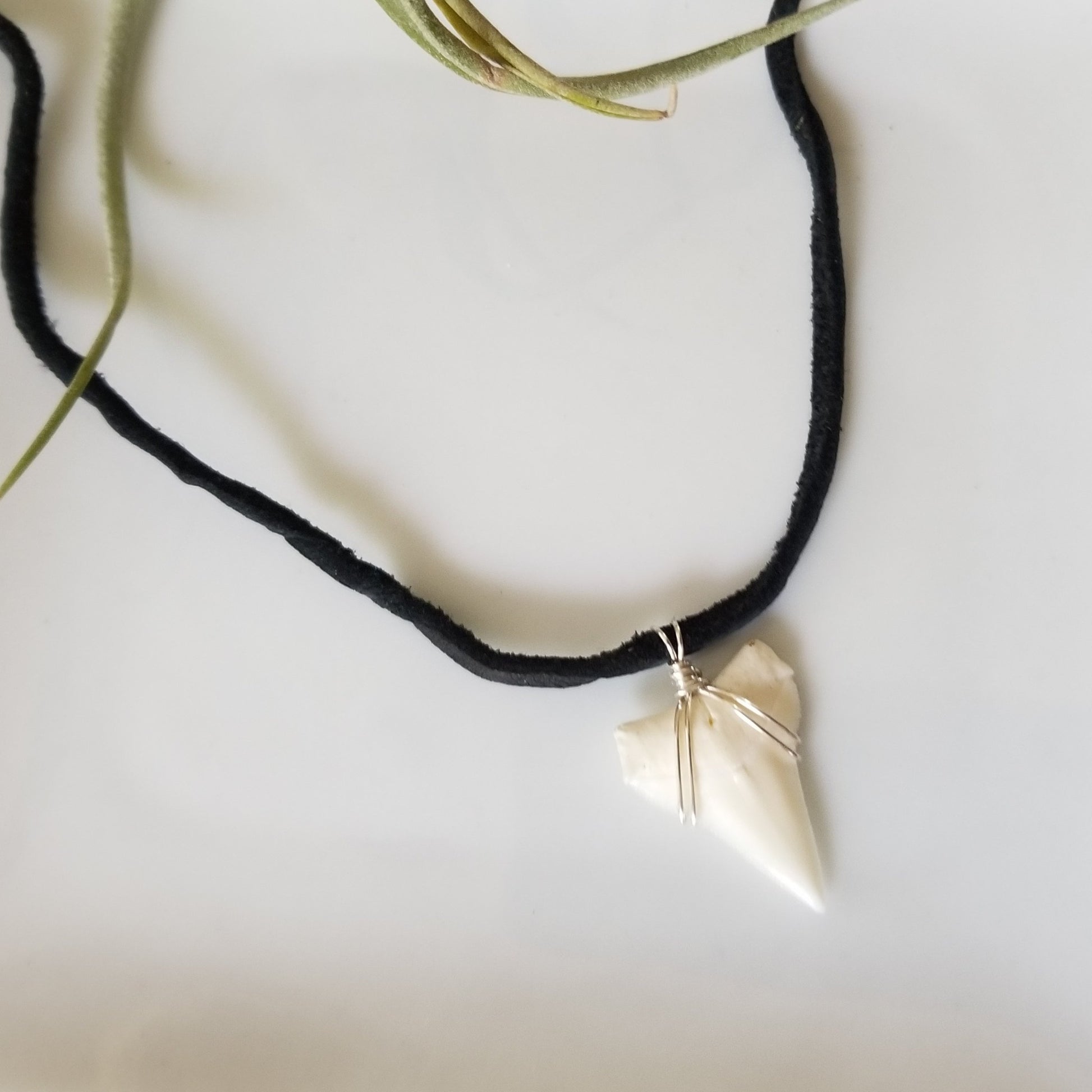 Men's Real Shark Tooth Leather or Sterling Necklace