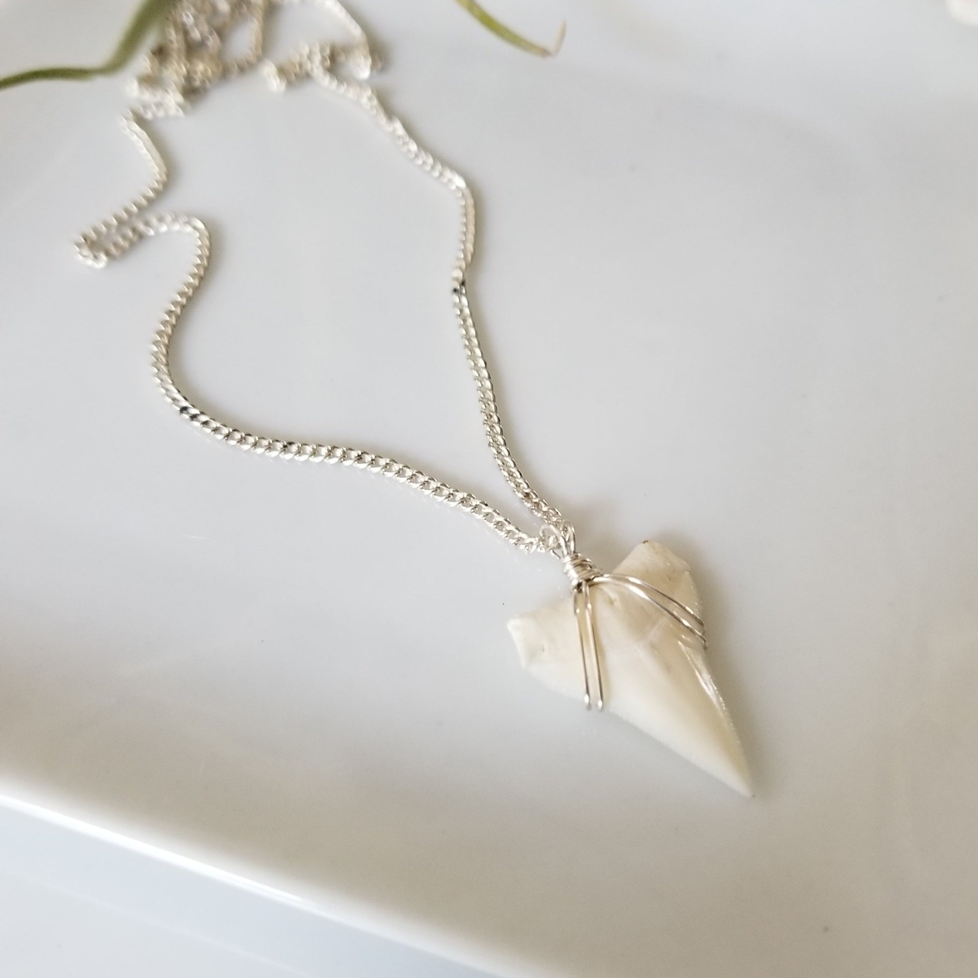 Men's Real Shark Tooth Leather or Sterling Necklace