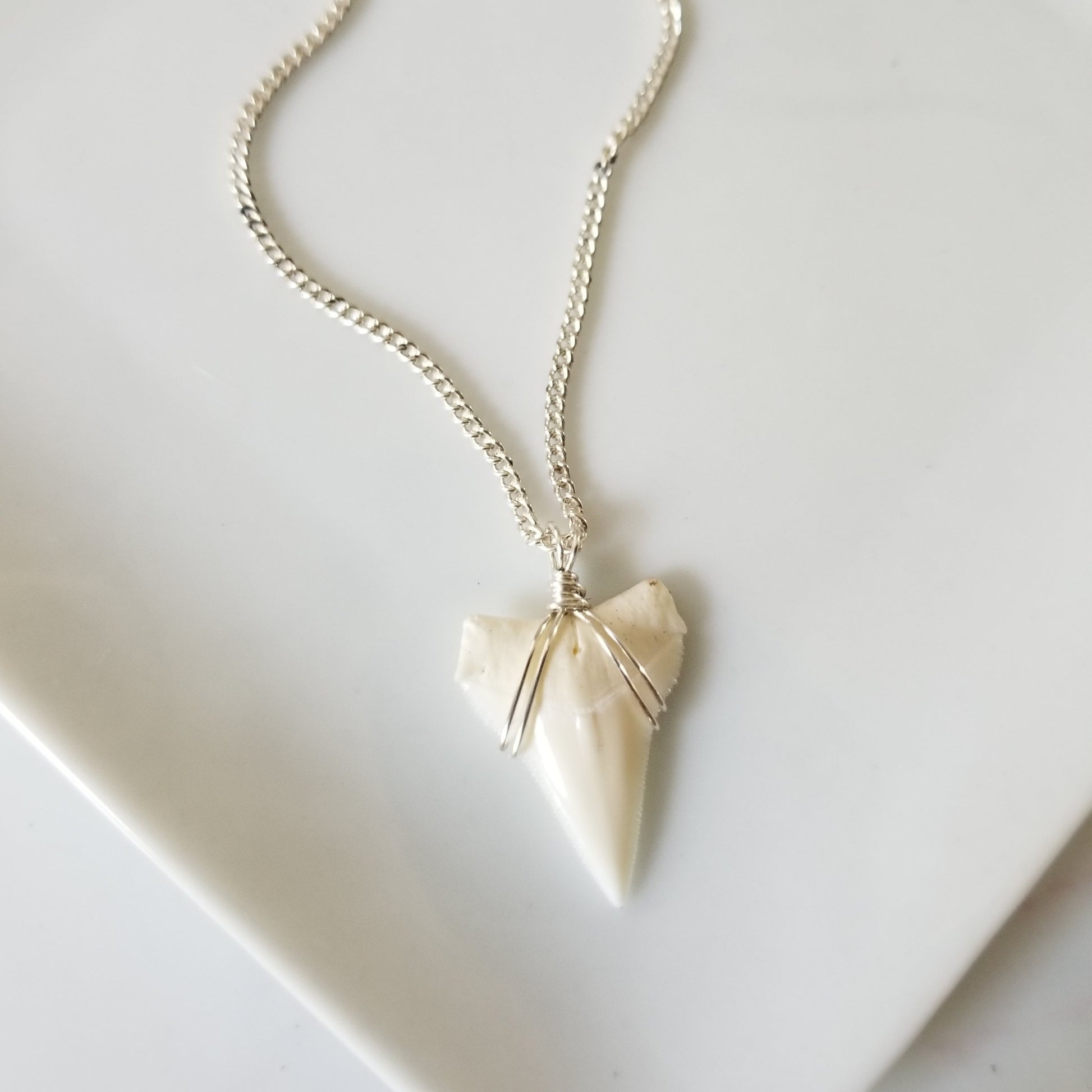 Men's Real Shark Tooth Leather or Sterling Necklace