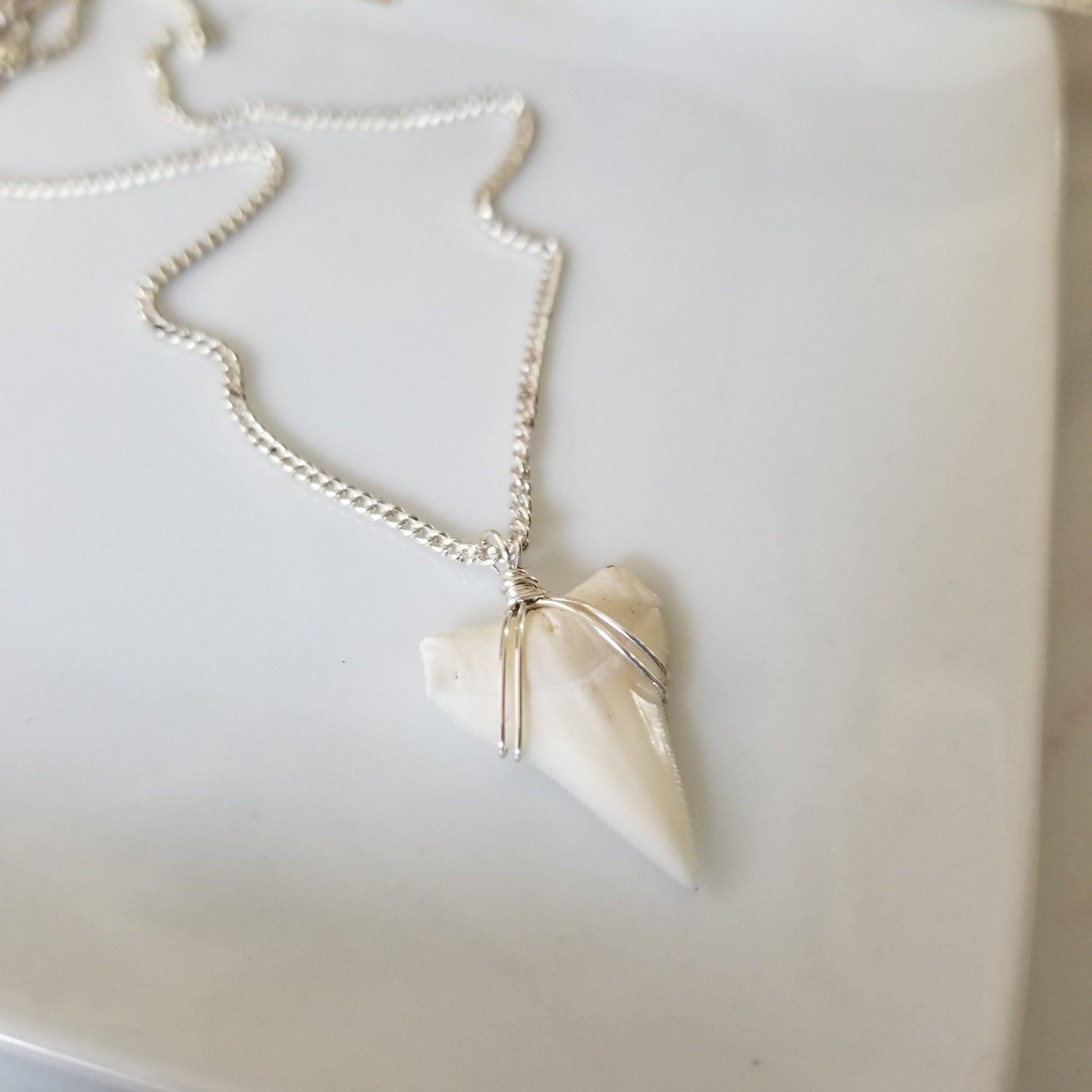 Men's Real Shark Tooth Leather or Sterling Necklace
