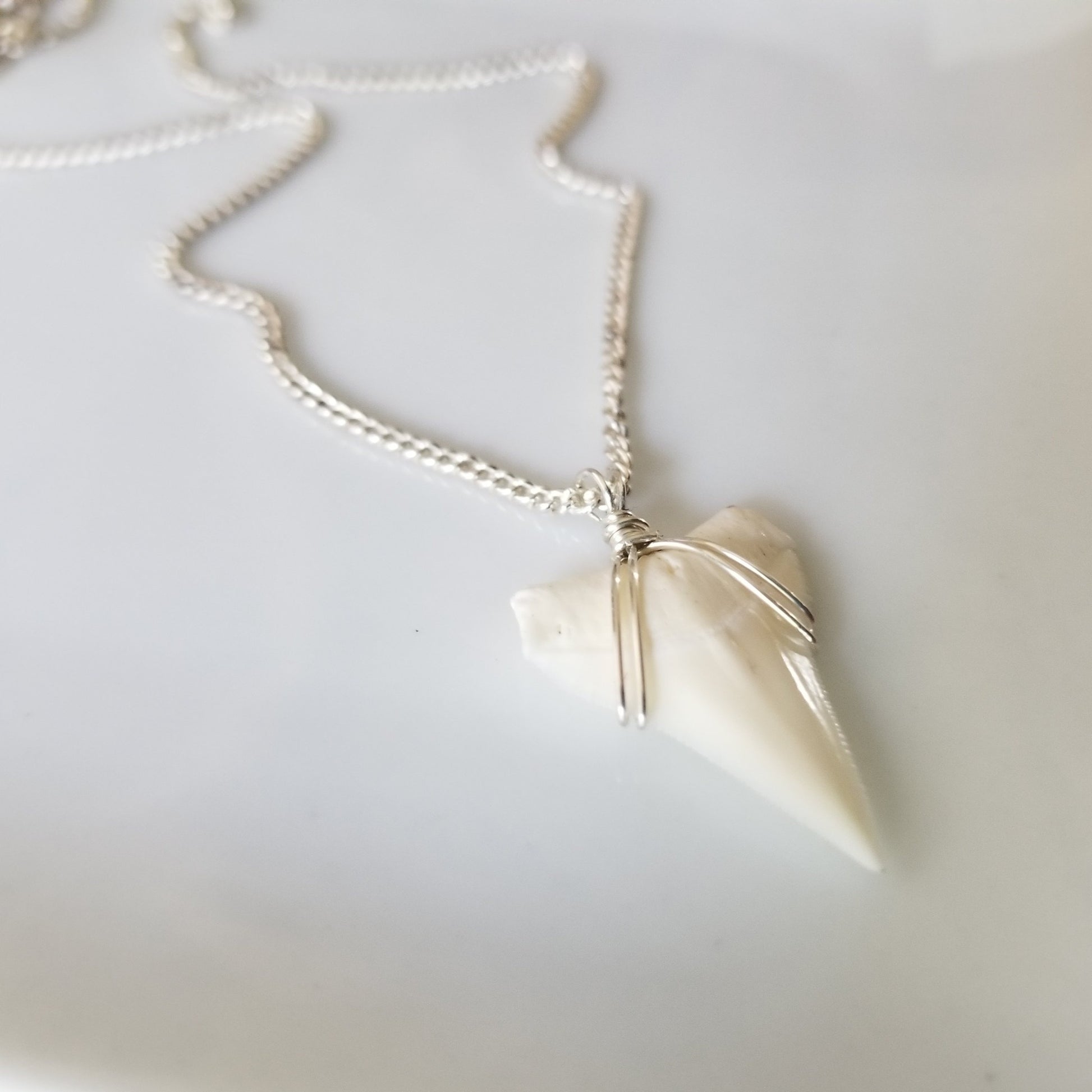 Men's Real Shark Tooth Leather or Sterling Necklace