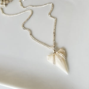 Men's Real Shark Tooth Leather or Sterling Necklace
