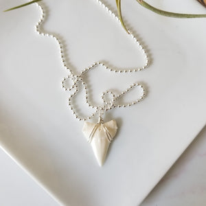 Men's Real Shark Tooth Leather or Sterling Necklace