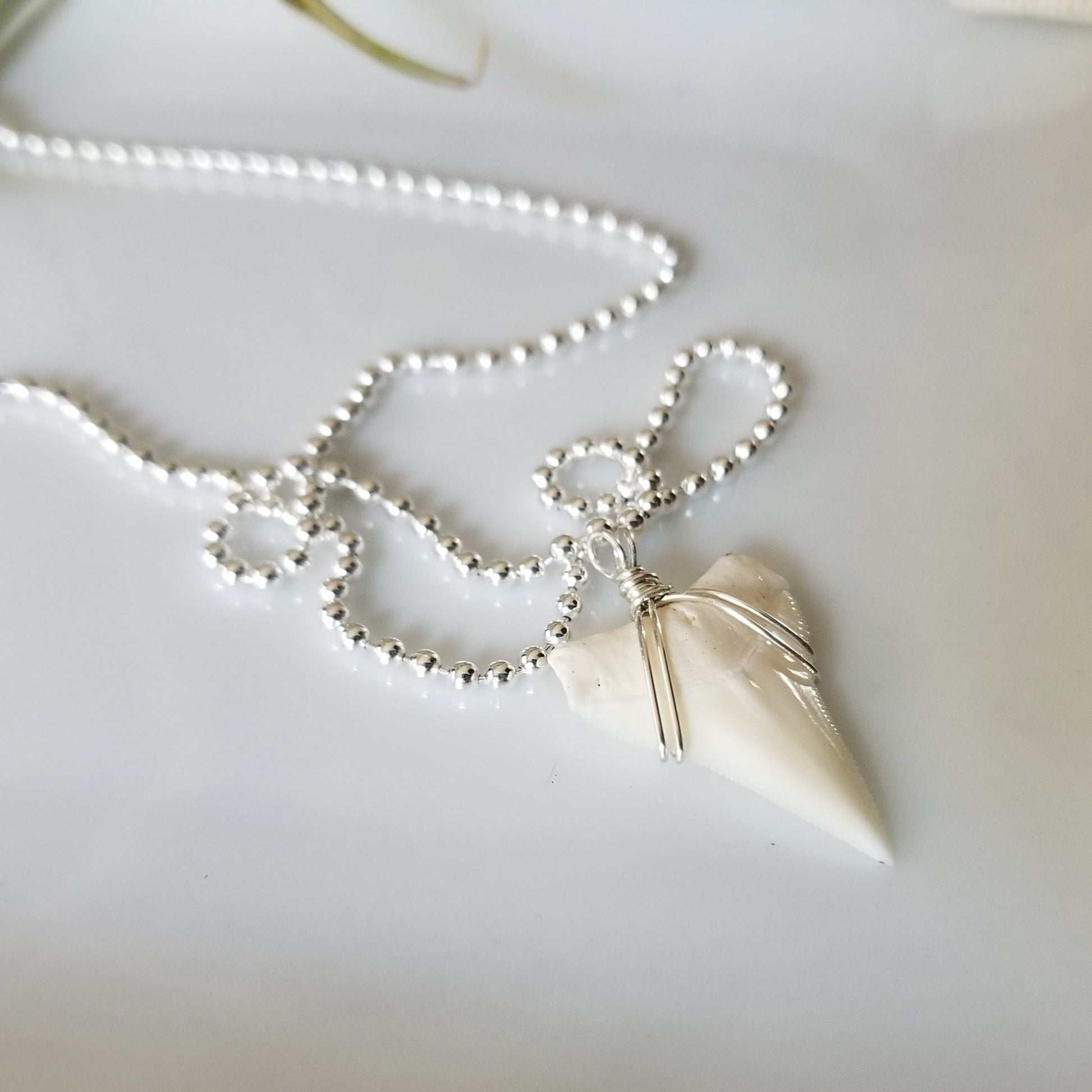 Men's Real Shark Tooth Leather or Sterling Necklace