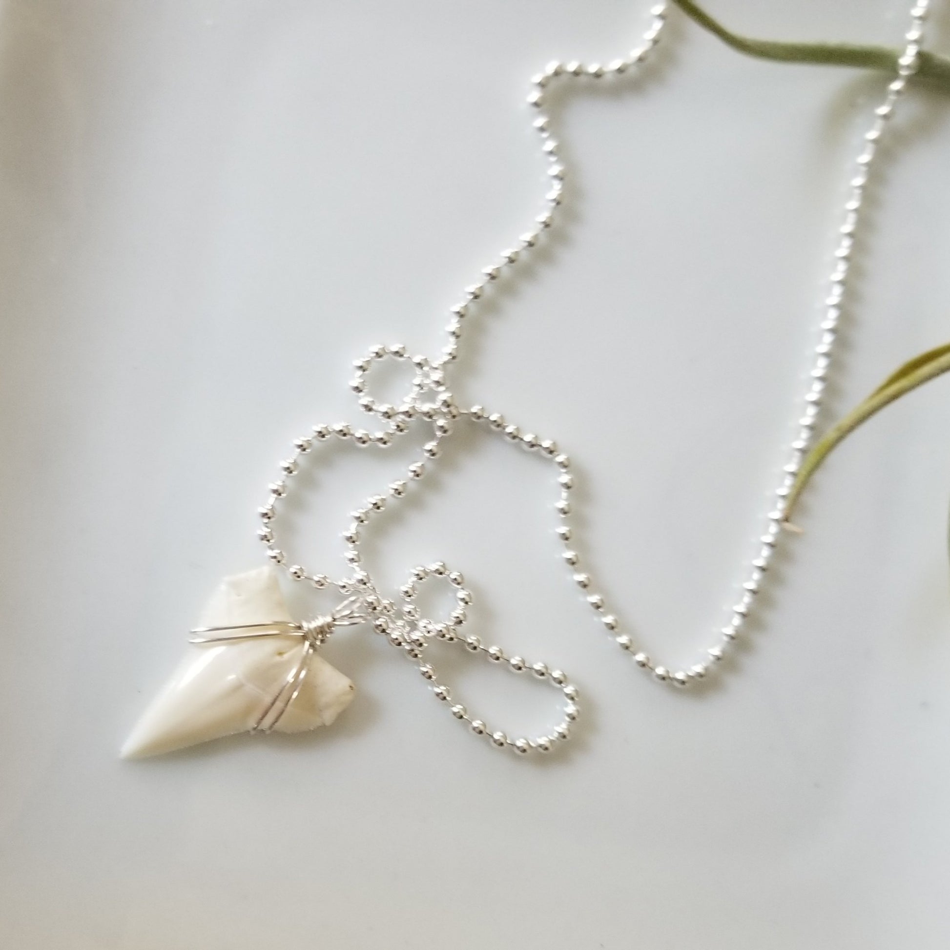 Men's Real Shark Tooth Leather or Sterling Necklace