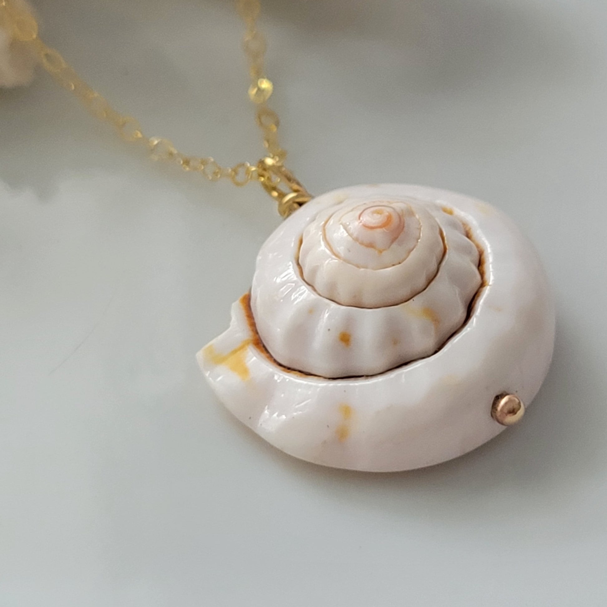 Unique Shell Drop Necklace - Sterling, Gold, or Rose Gold