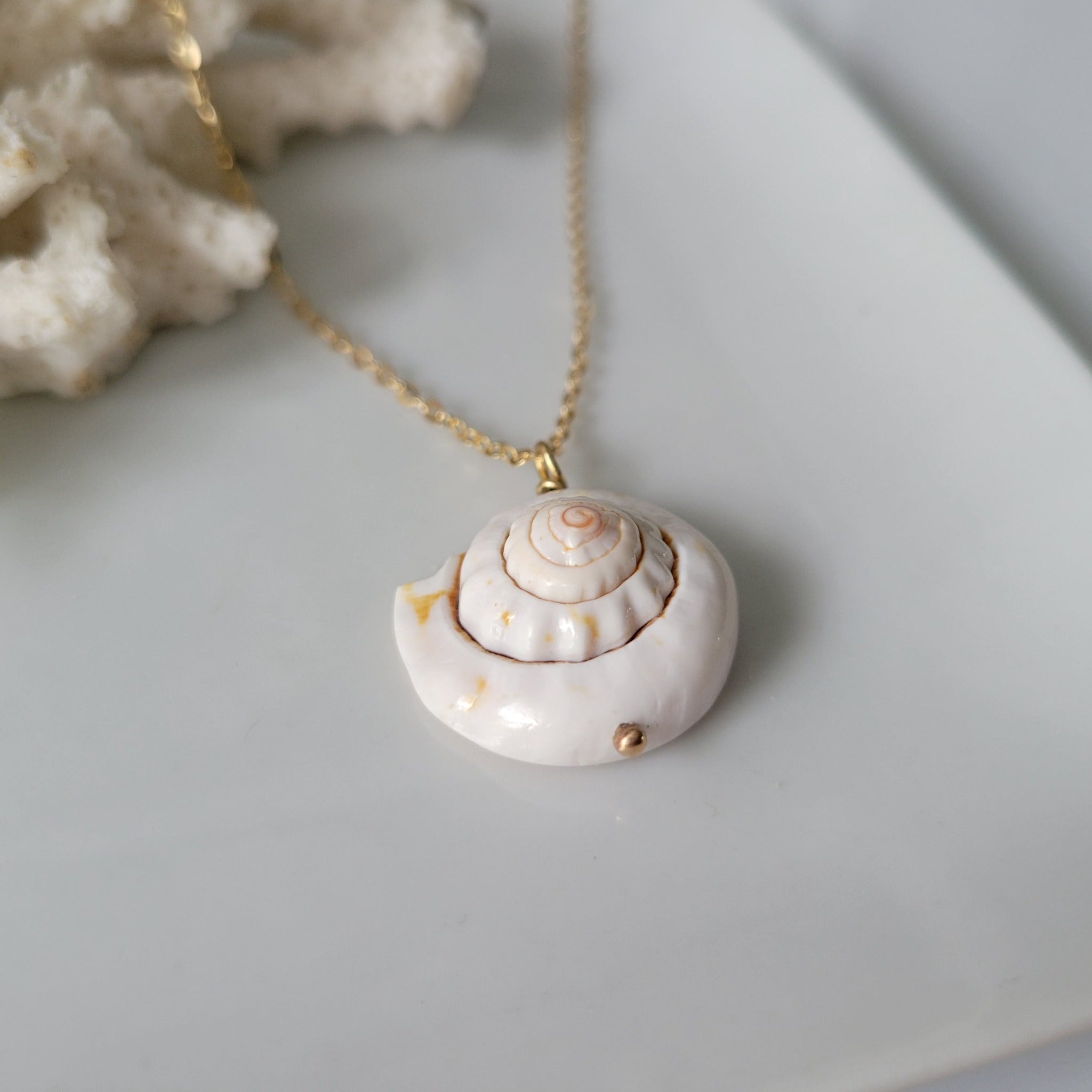 Unique Shell Drop Necklace - Sterling, Gold, or Rose Gold