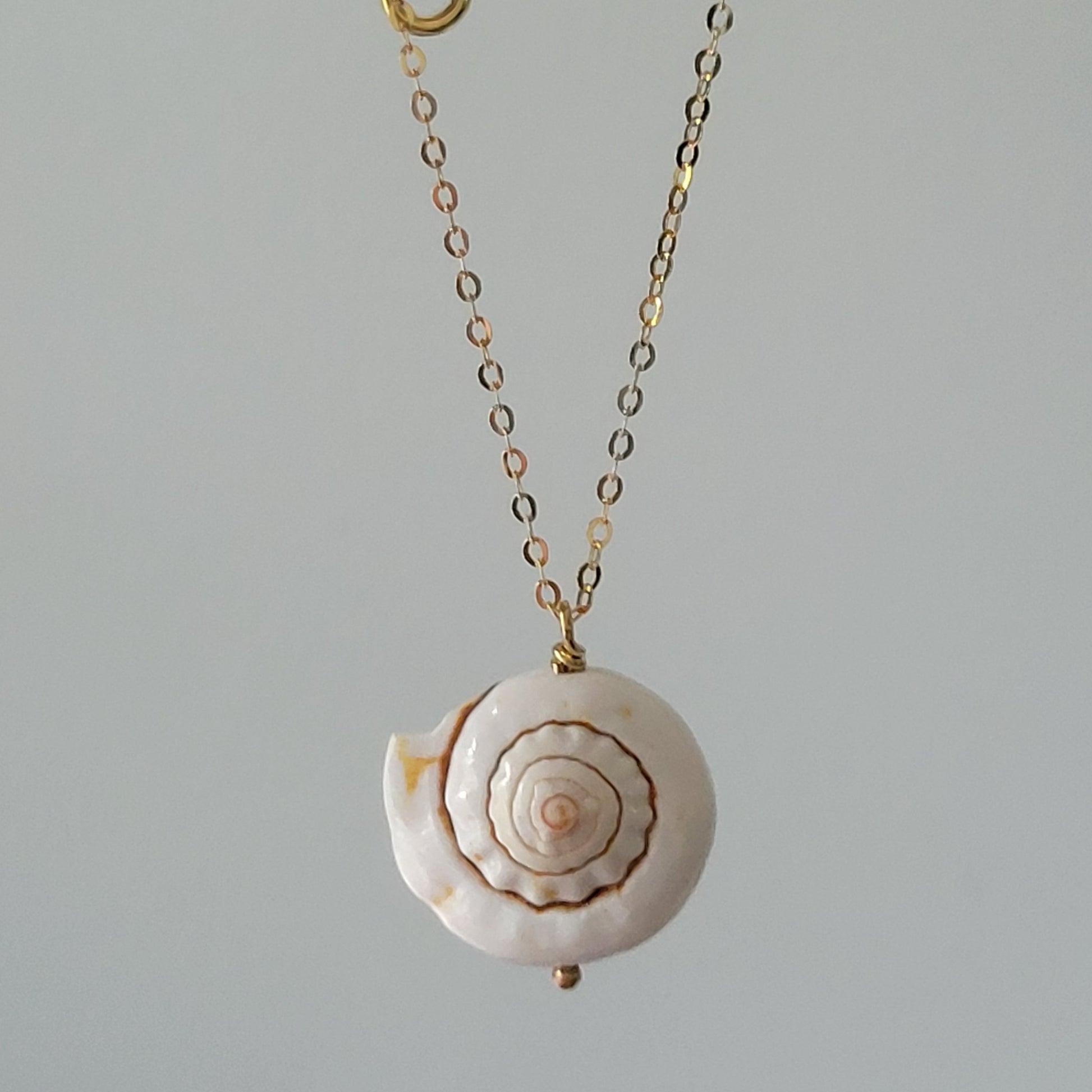 Unique Shell Drop Necklace - Sterling, Gold, or Rose Gold